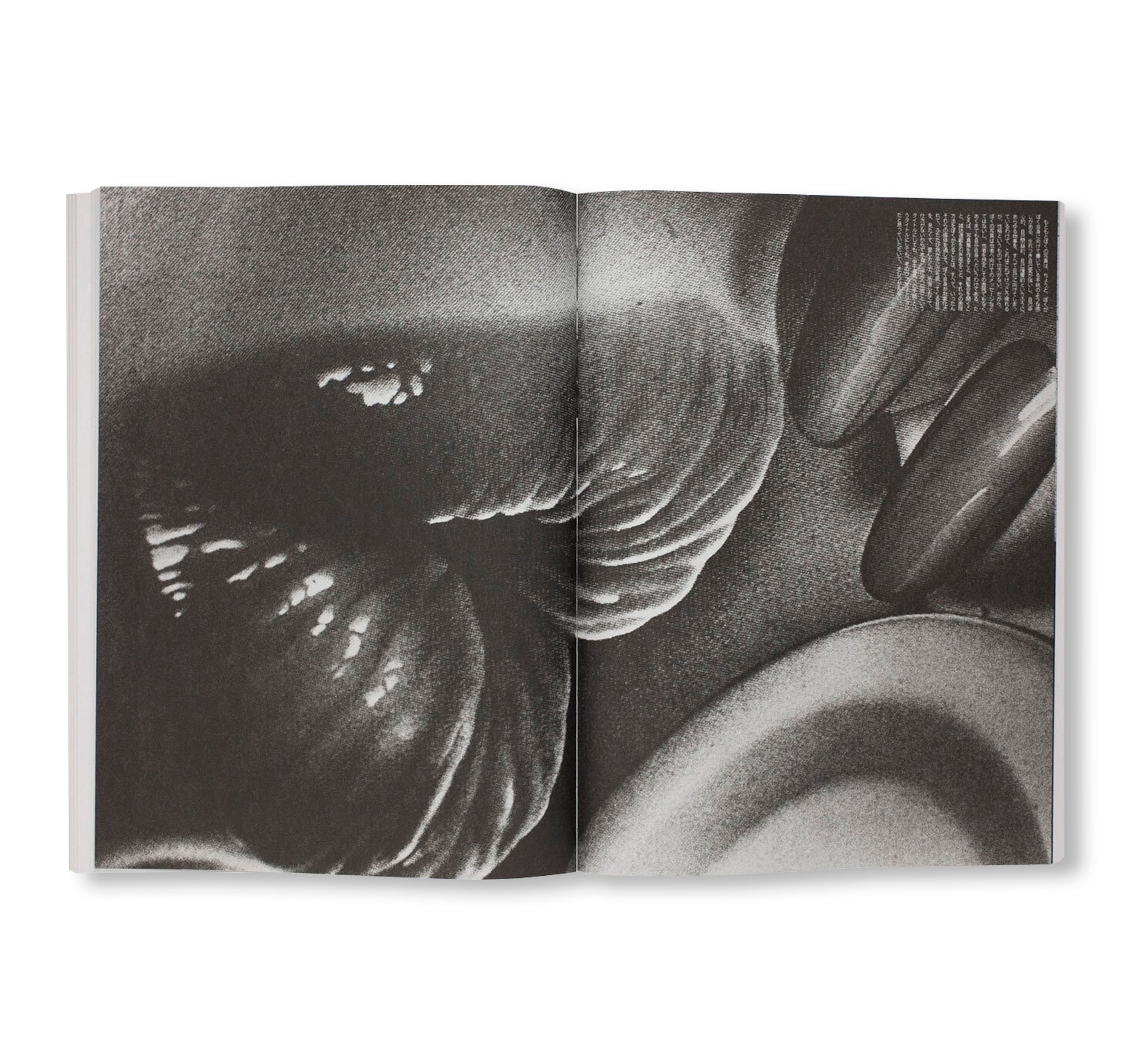DAIDO MORIYAMA SHASHIN JIDAI 1981–1988 by Daido Moriyama