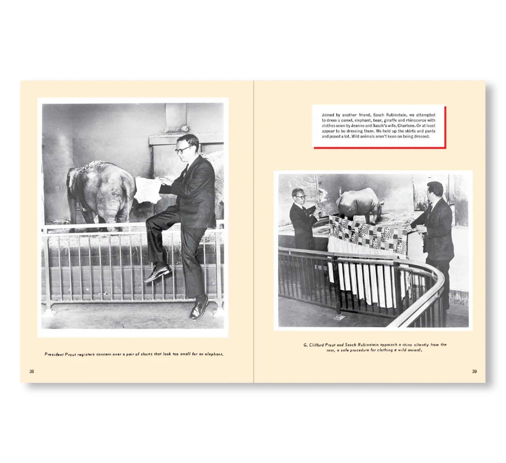 INSIDE SINA: THE SOCIETY FOR INDECENCY TO NAKED ANIMALS by Alan & Jeanne Abel