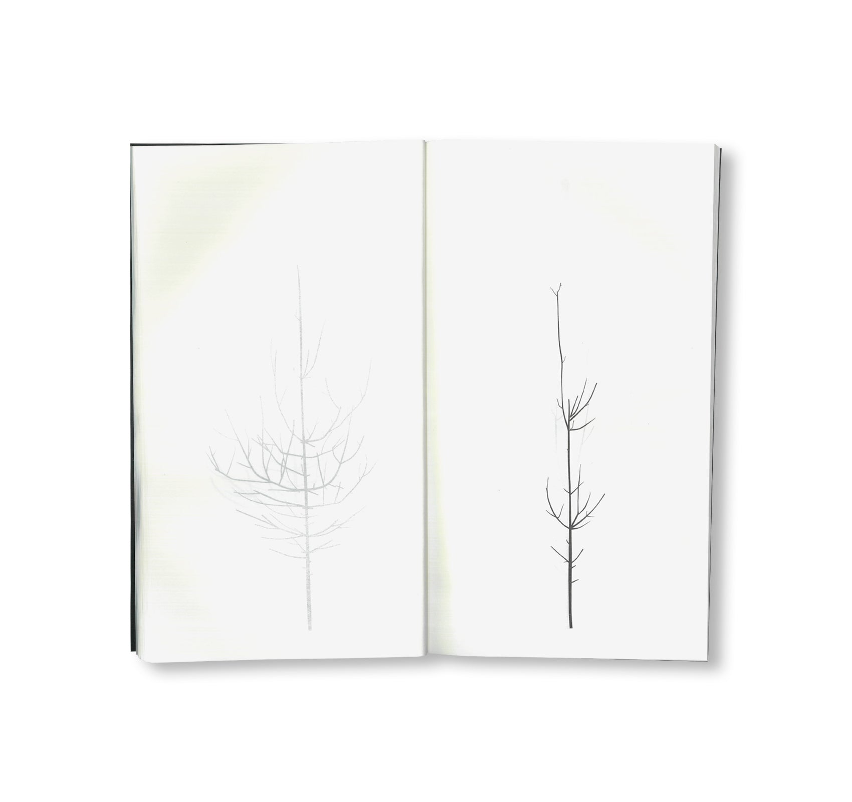 WINTER DRAWINGS by Peter Liversidge