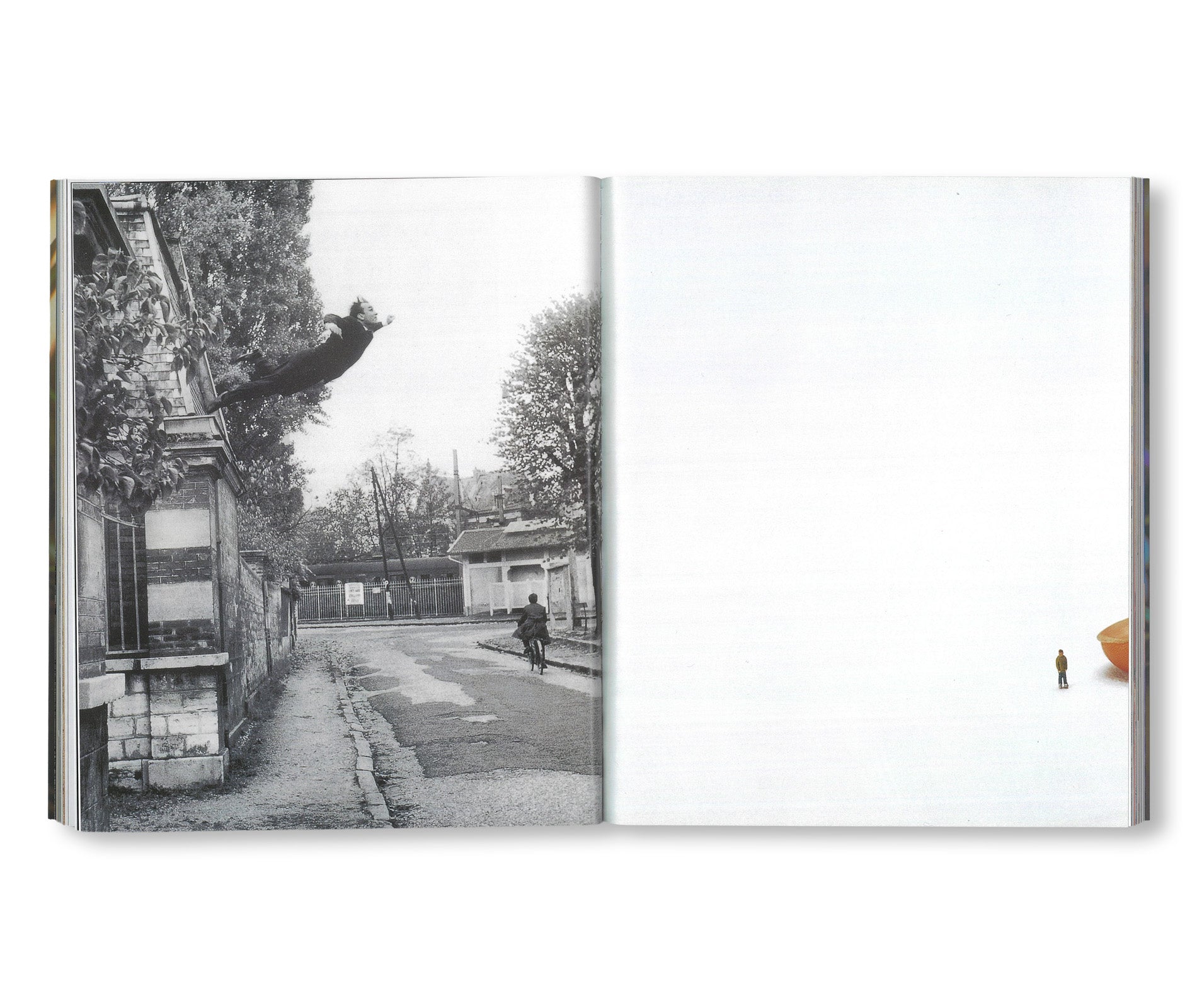 LUPETTO, PILOT ISSUE by Maurizio Cattelan