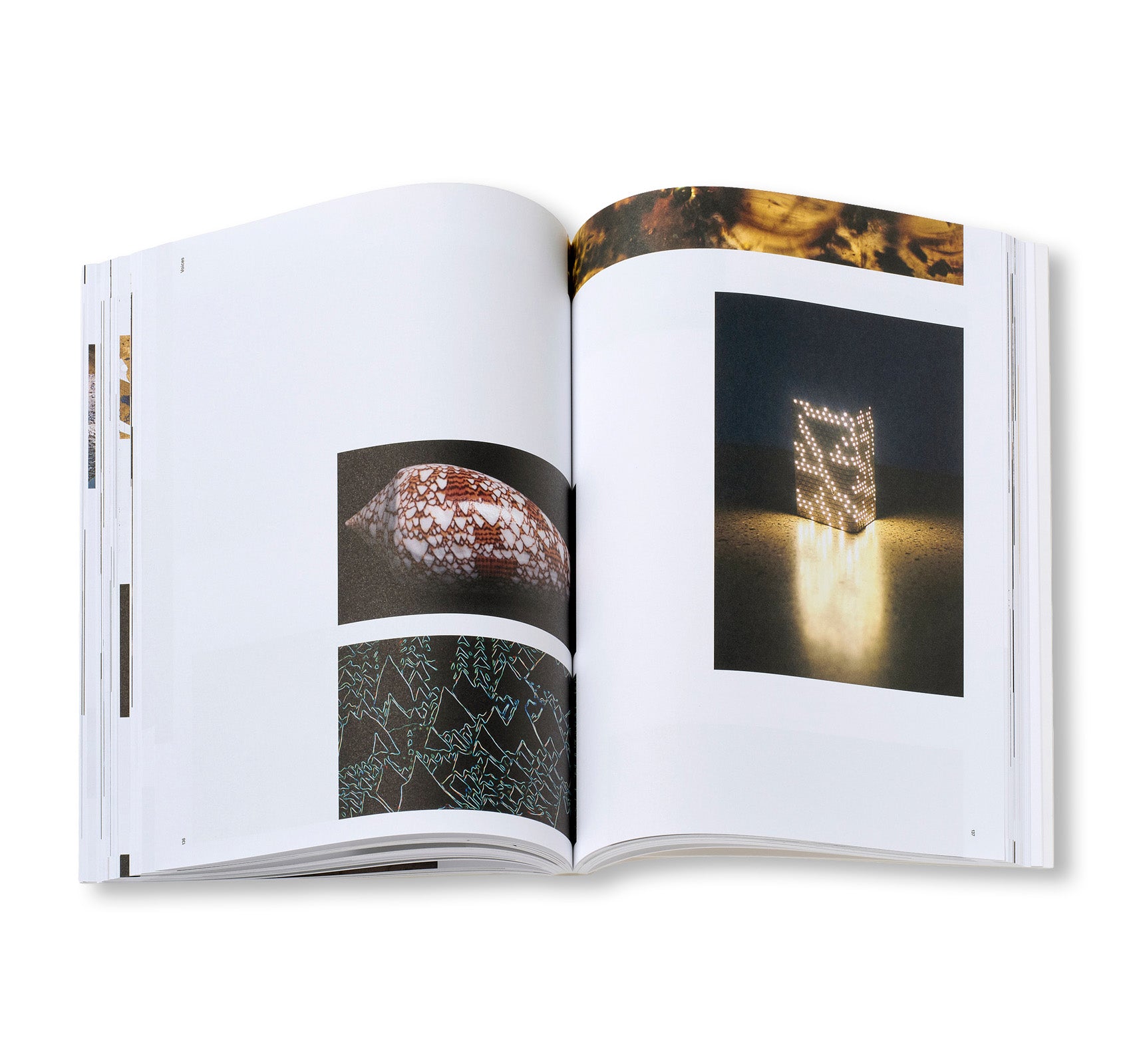 PIERRE HUYGHE by Pierre Huyghe (HATJE CANTZ)