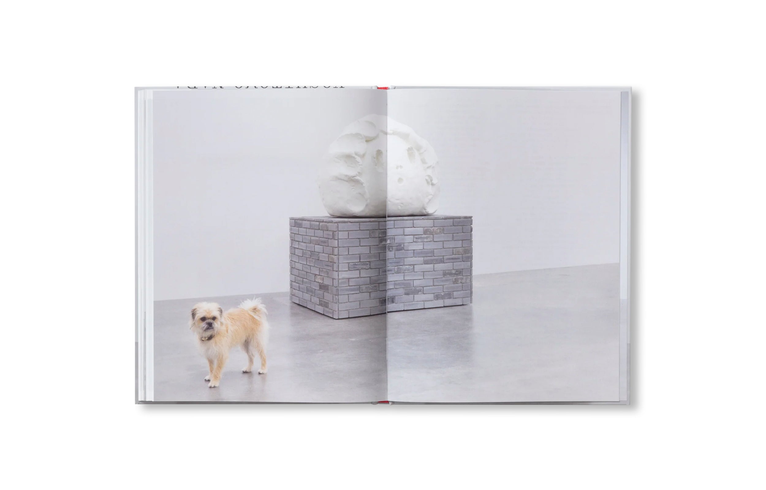 MY IMPERFECT SELF by Yoshitomo Nara