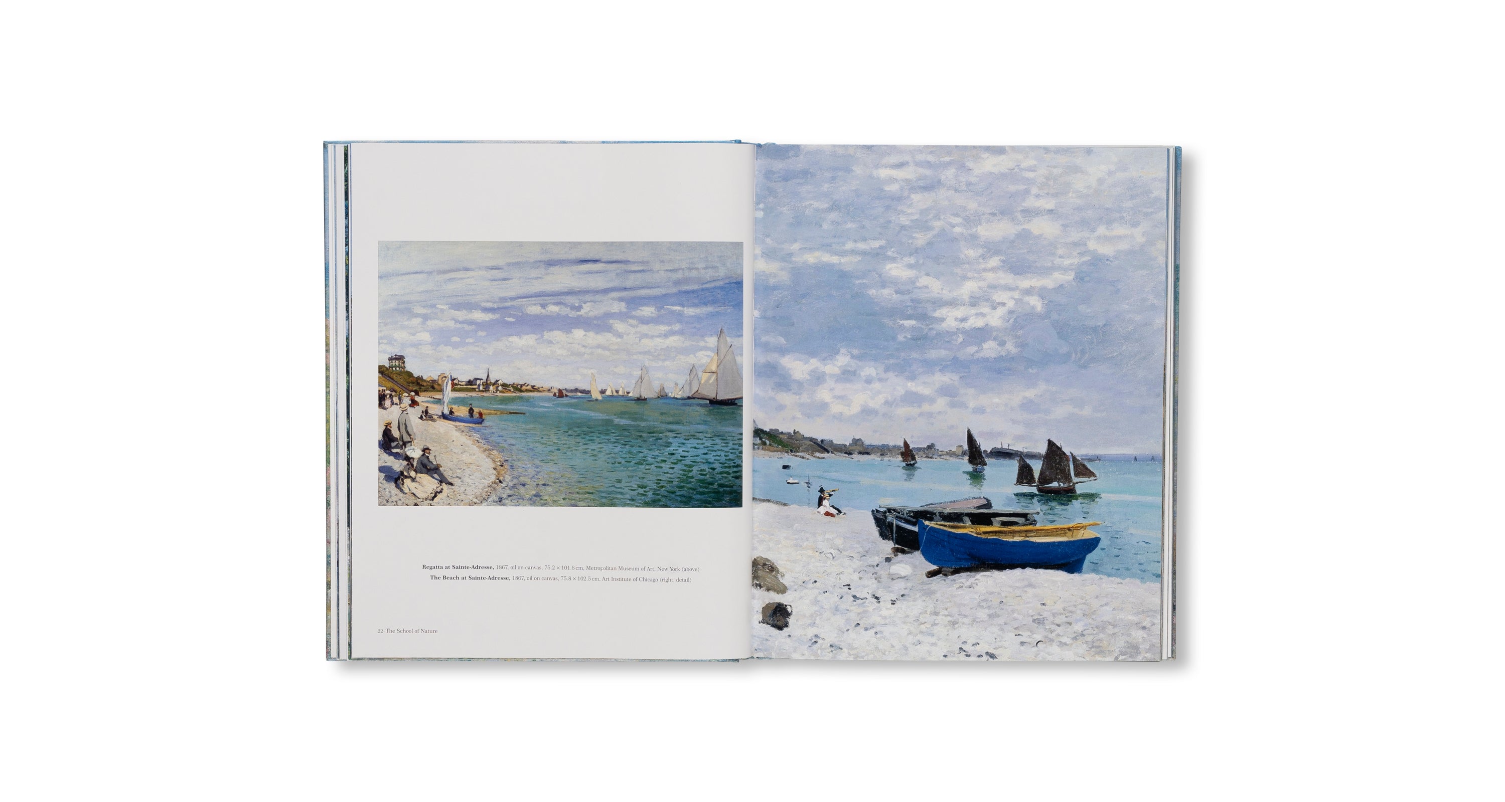 MONET - THE BIGGER PICTURE by Anne Sefrioui