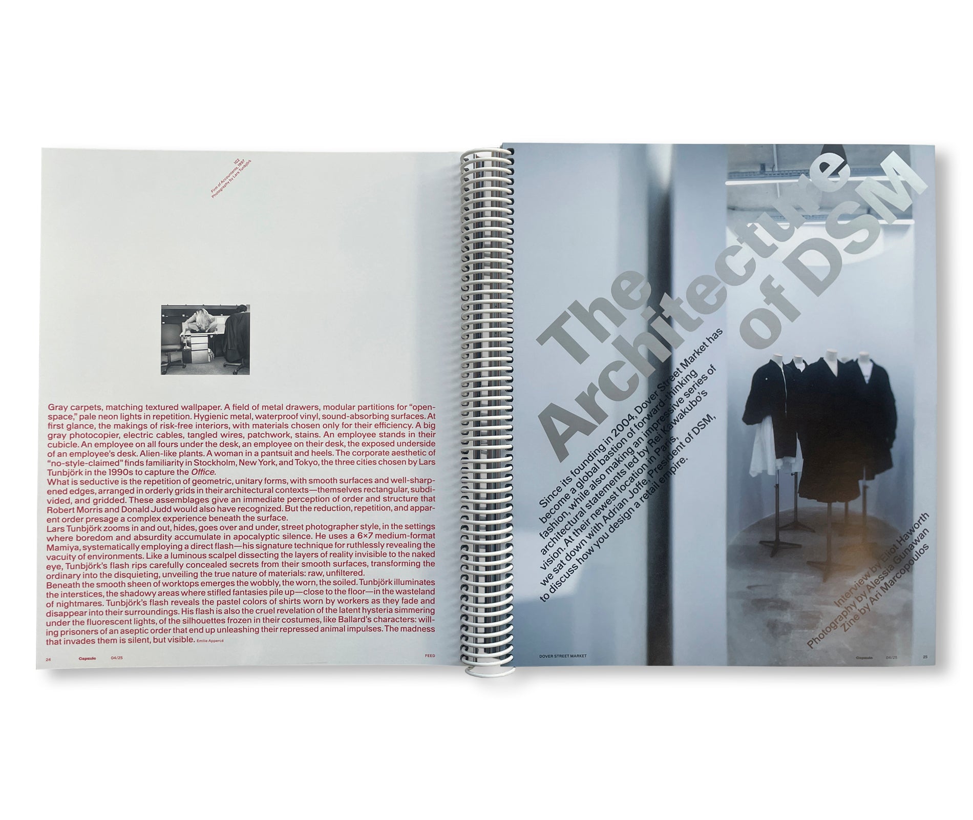 CAPSULE ISSUE 4 – THE ARCHITECTURE OF DSM