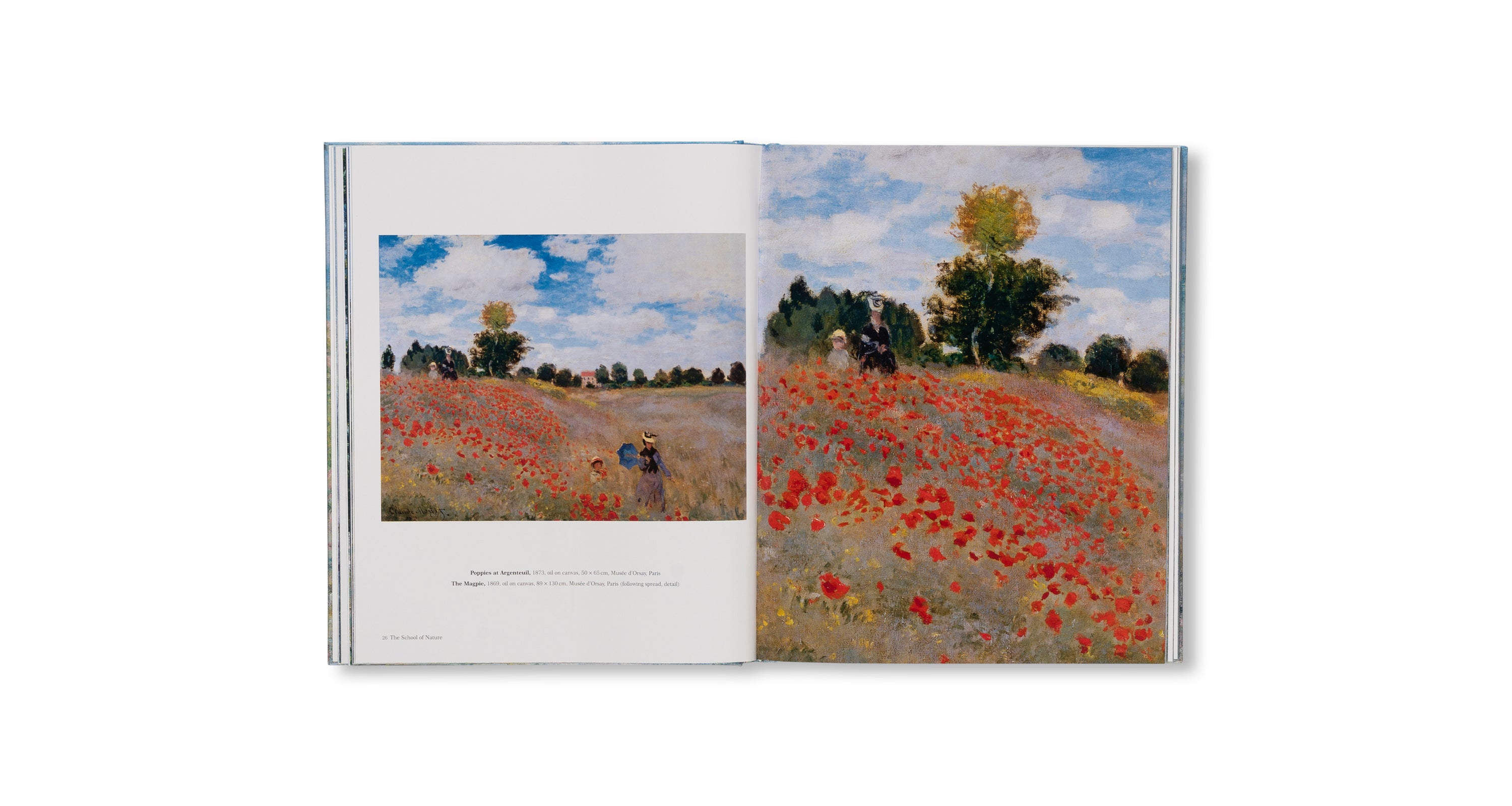 MONET - THE BIGGER PICTURE by Anne Sefrioui