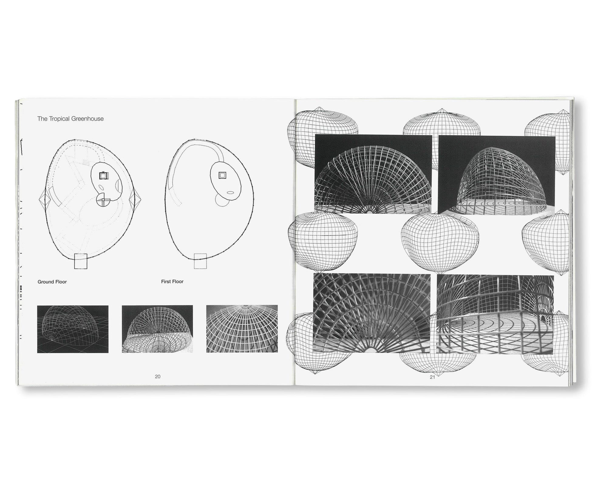 ITSUKO HASEGAWA: FLUKTUATION - THE FRUIT GARDEN IN YAMANASHI AND OTHER PROJECTS by Itsuko Hasegawa