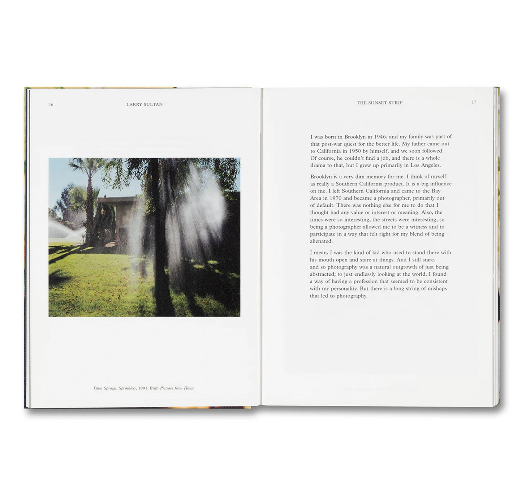 WATER OVER THUNDER: SELECTED WRITINGS by Larry Sultan