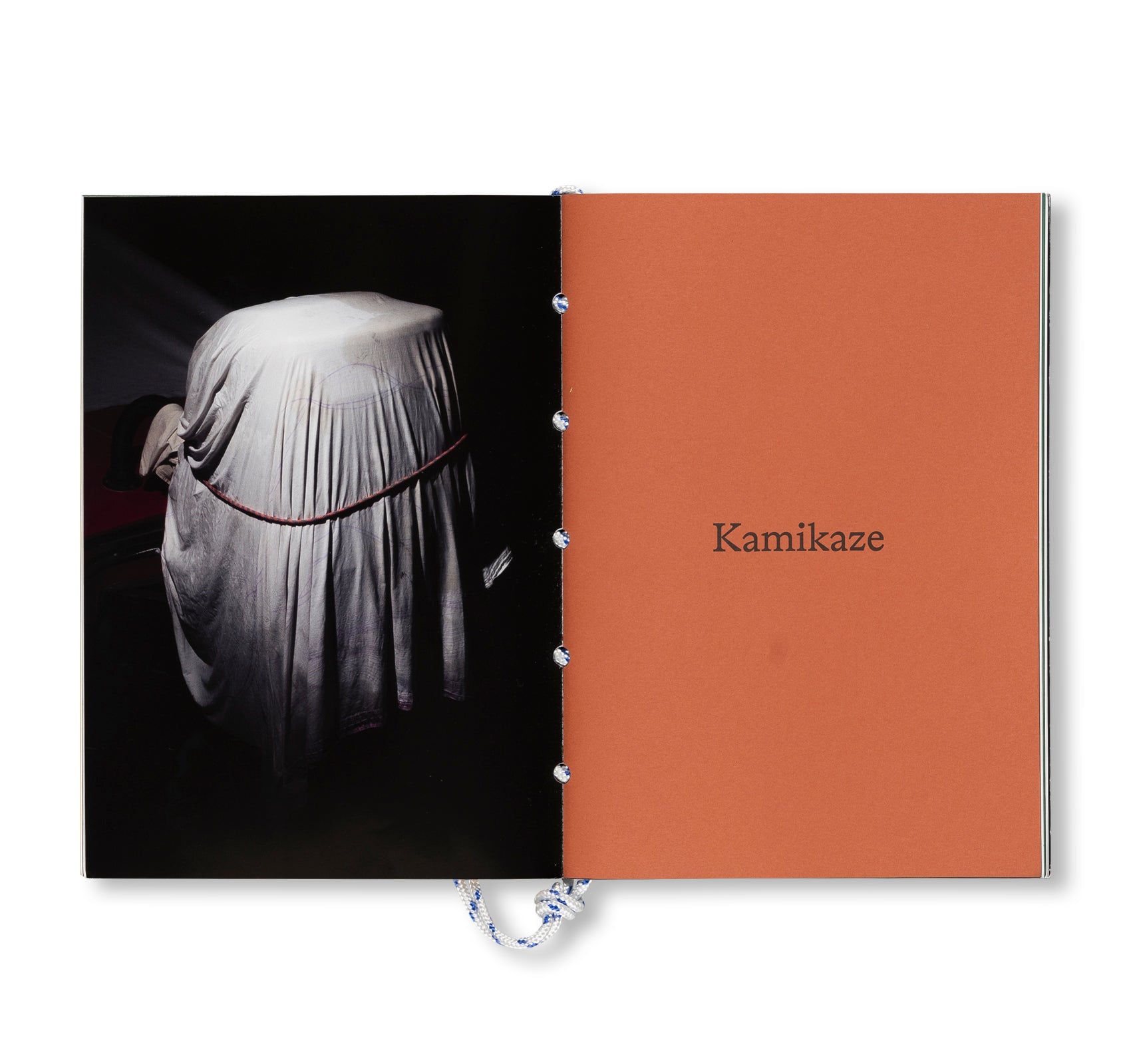 MOTORS by Louis De Belle [COLLECTORS EDITION / SIGNED / NUMBERED]