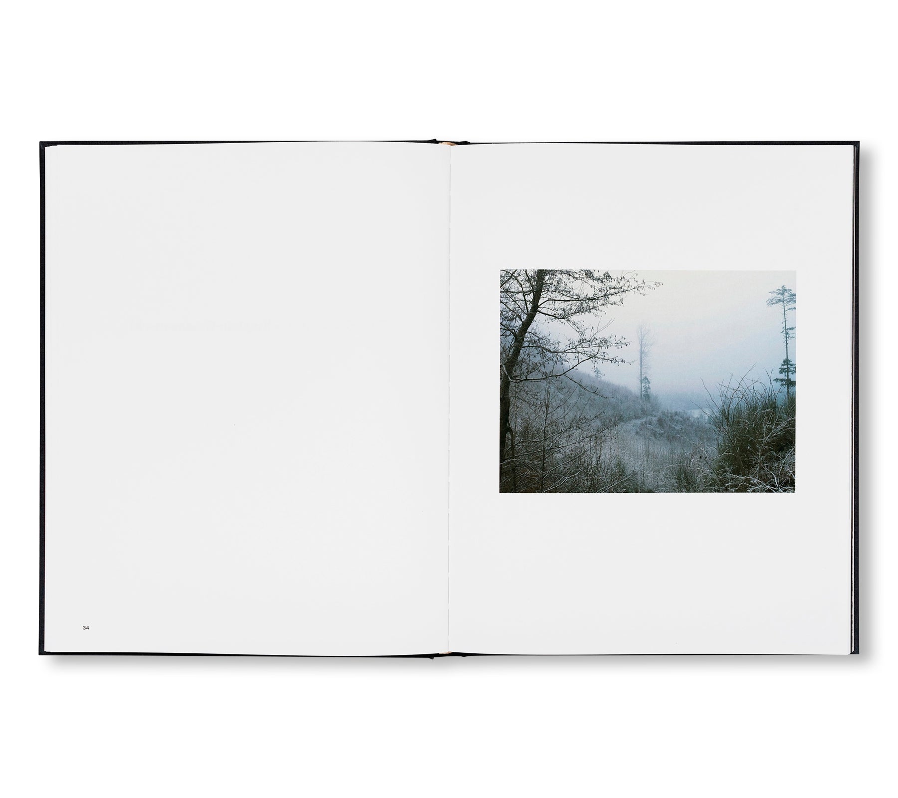 THE ENCOUNTER by Stéphan Crasneanscki [SIGNED]