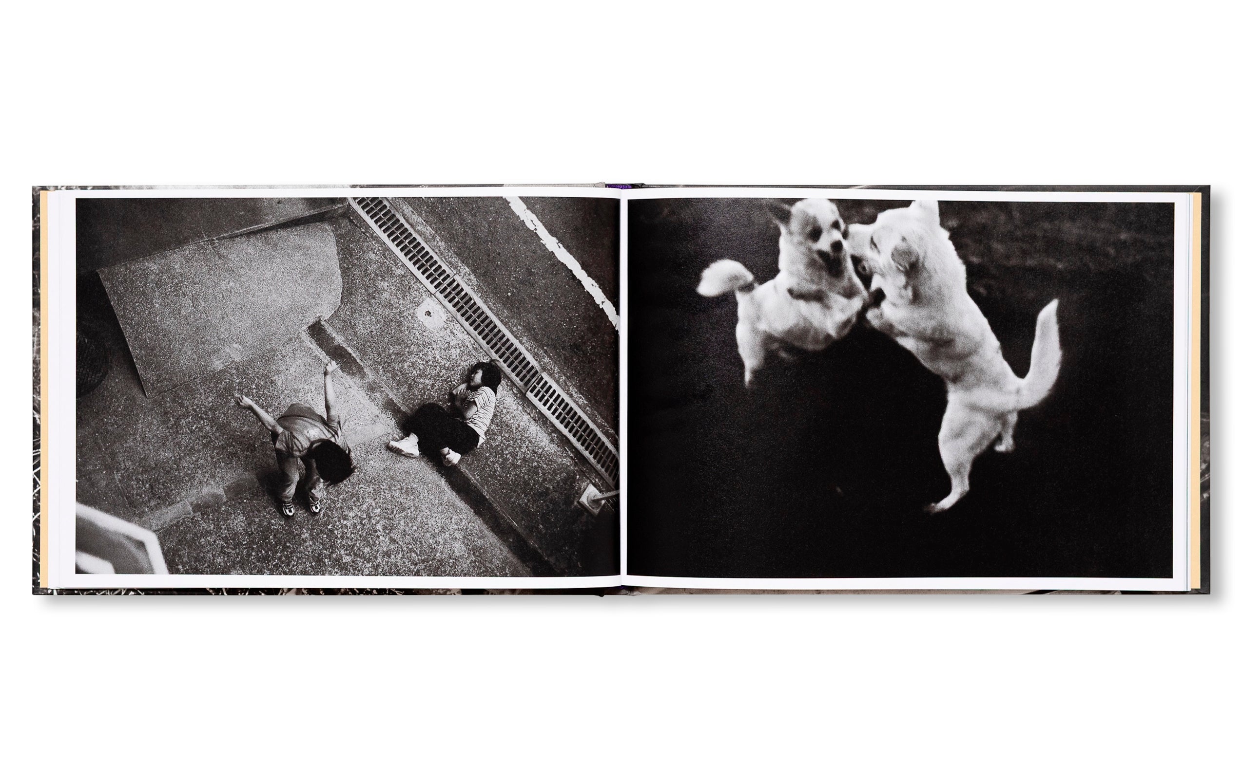 IN THE FLAP OF A BIRD'S WING, WATER DRIES UP by Eriko Masaoka