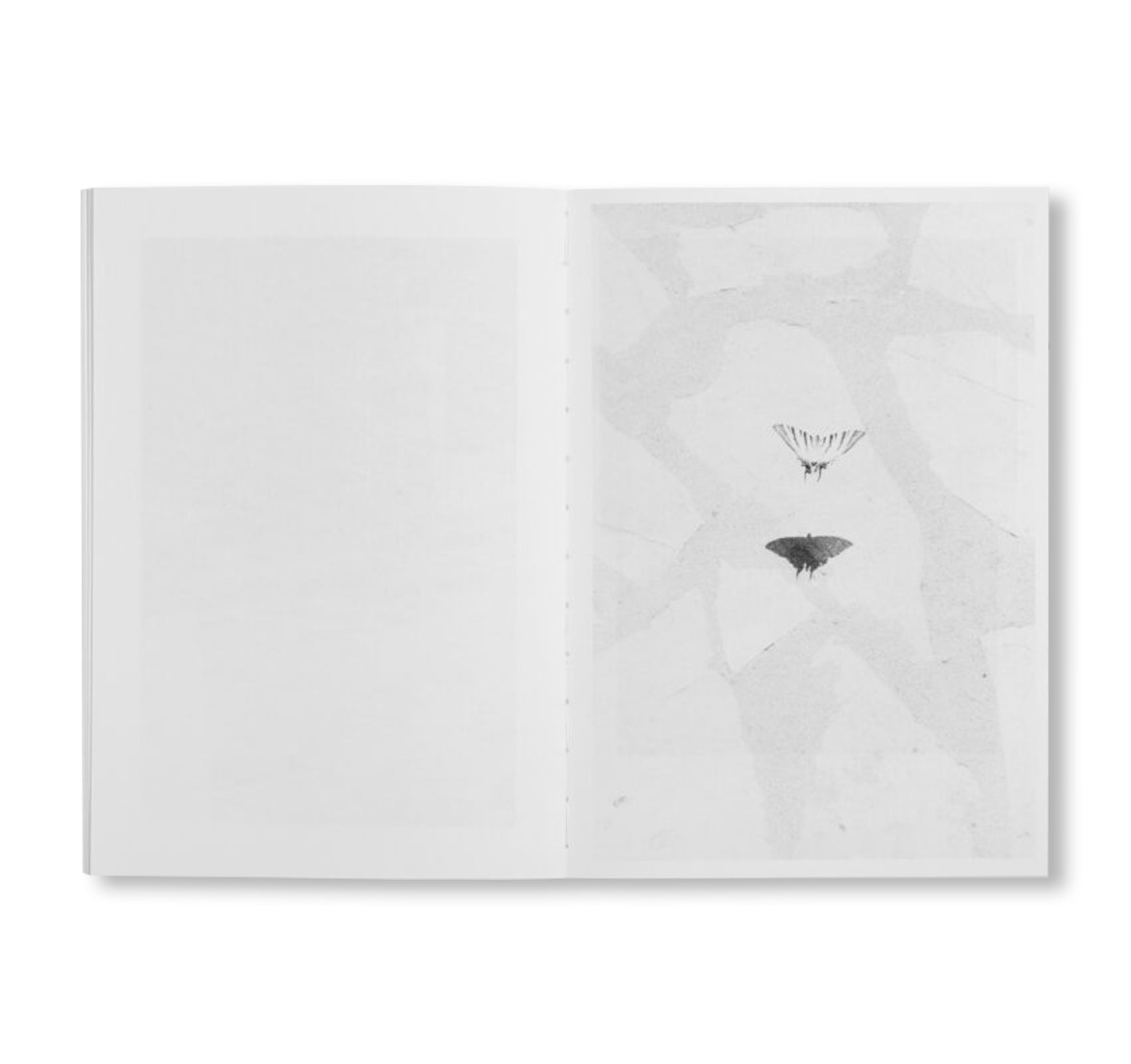 LOCAL ECOLOGY. KASTELLORIZO by Jochen Lempert