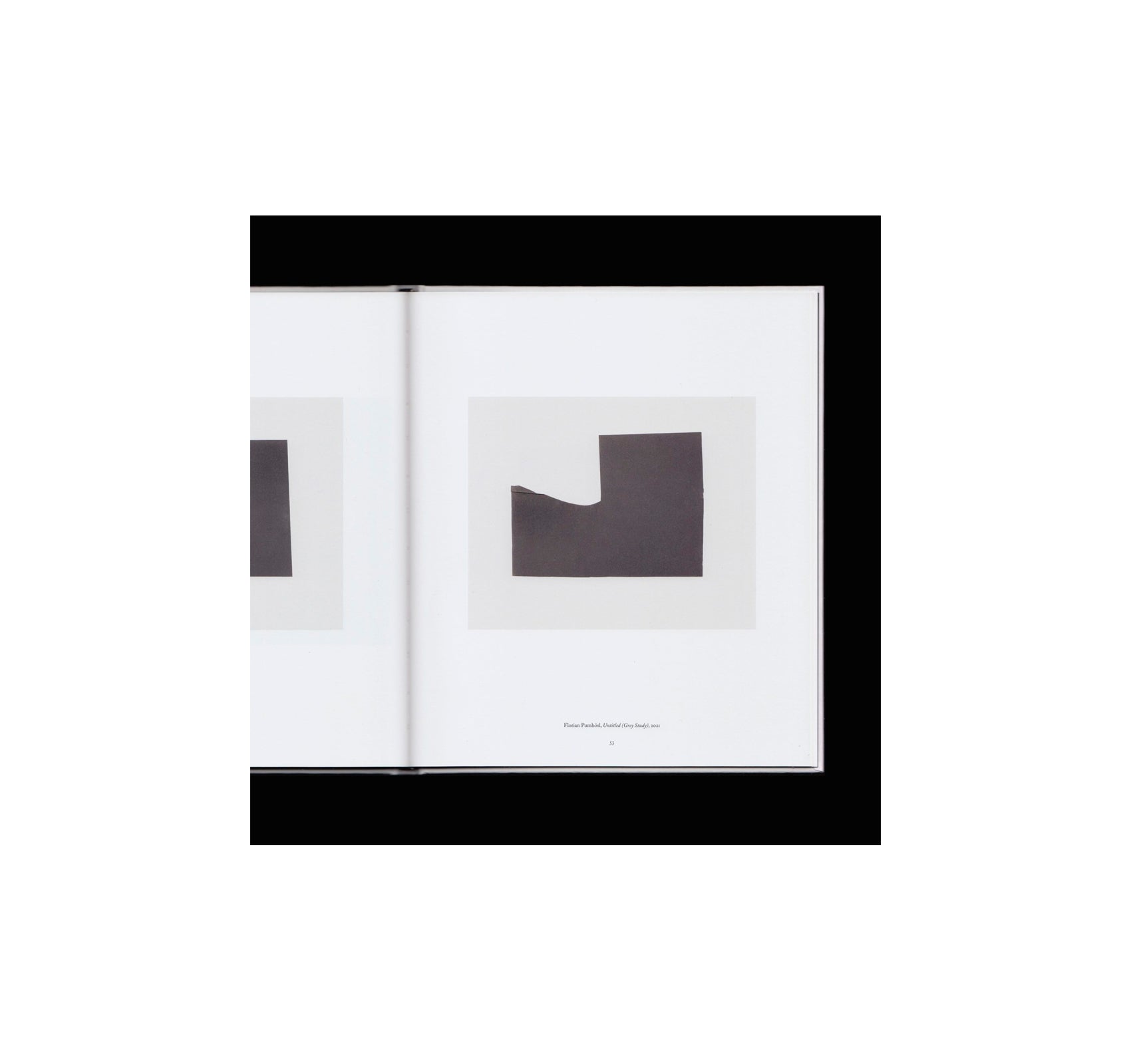 I HEAR THE ANCIENT MUSIC OF WORKS AND WORKS, YES, THAT’S IT. by Vincent Fecteau, Florian Pumhösl