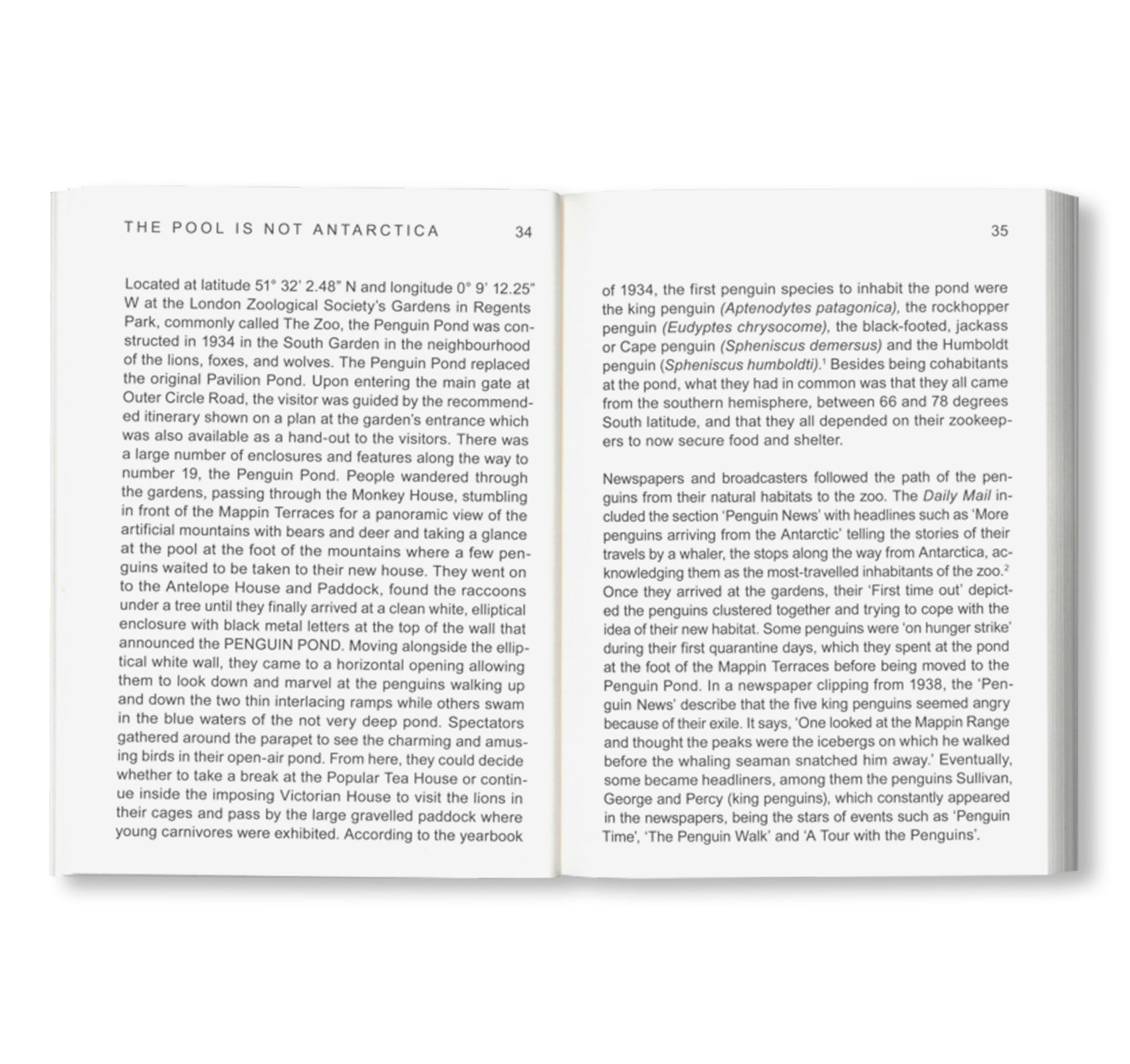 BAUHAUS TASCHENBUCH 28 - NOT A PENGUIN POOL: ECHOES OF MORE-THAN-HUMAN ENTANGLEMENTS by Stiftung Bauhaus Dessau