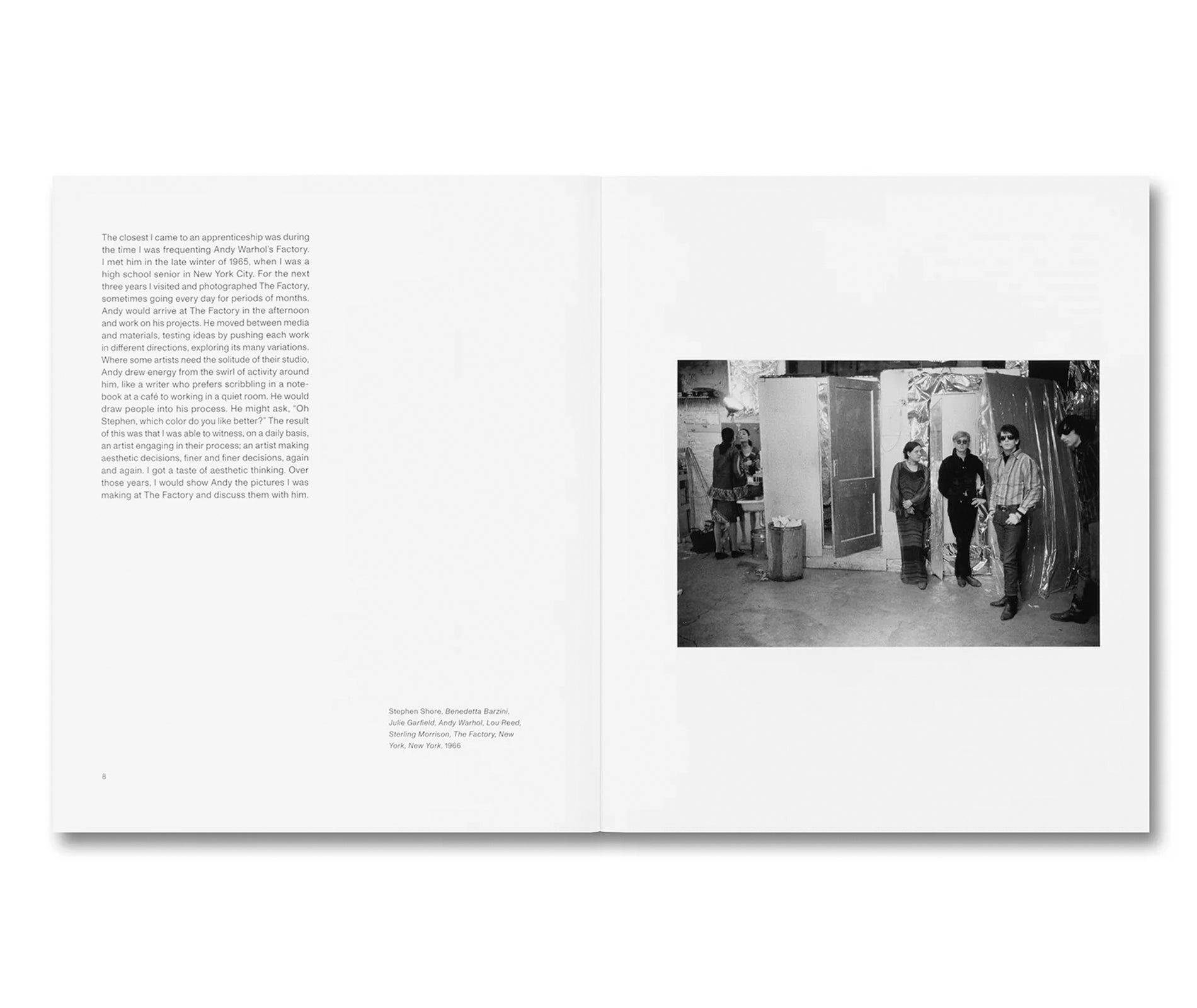 THE MENTAL IMAGE by Stephen Shore