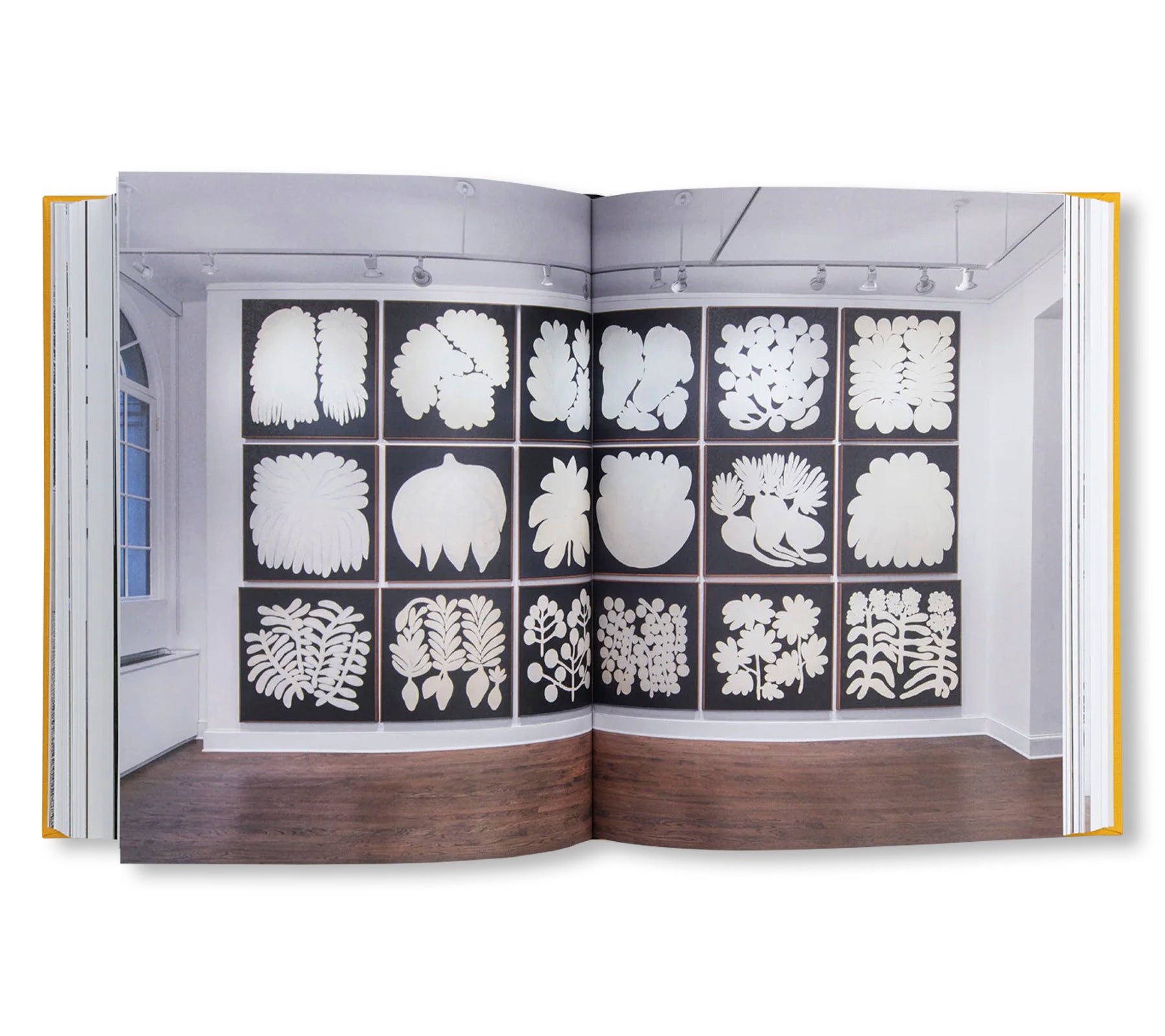 SOLANGE PESSOA (2020) by Solange Pessoa