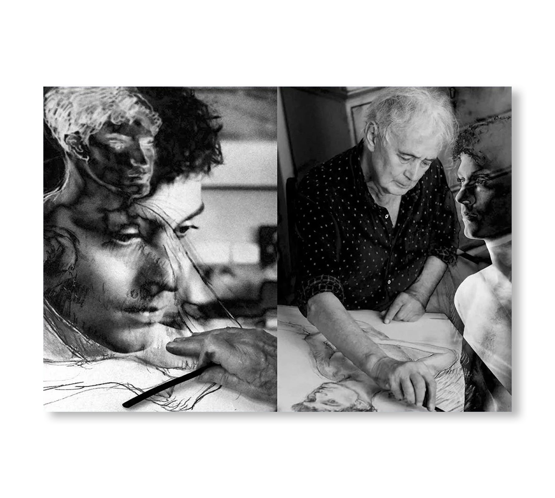 ONE PICTURE BOOK TWO #46: TOER by Susan A. Zadeh