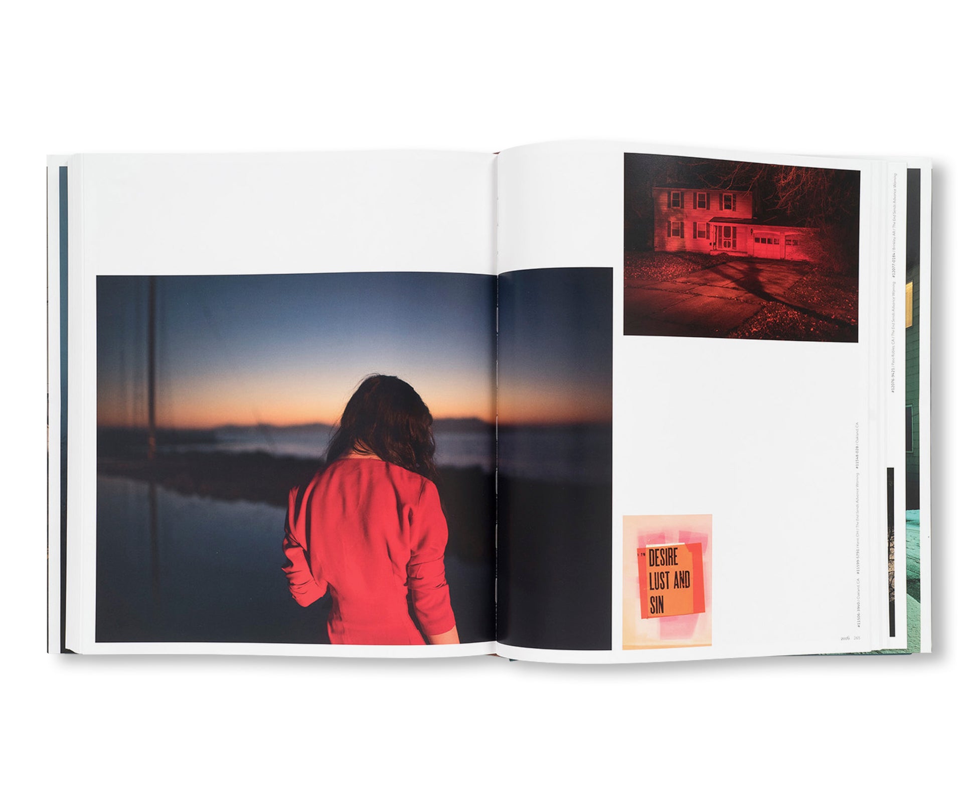Todd Hido 写真集 INTIMATE DISTANCE by Todd Hido [REVISED AND EXPANDED EDITION