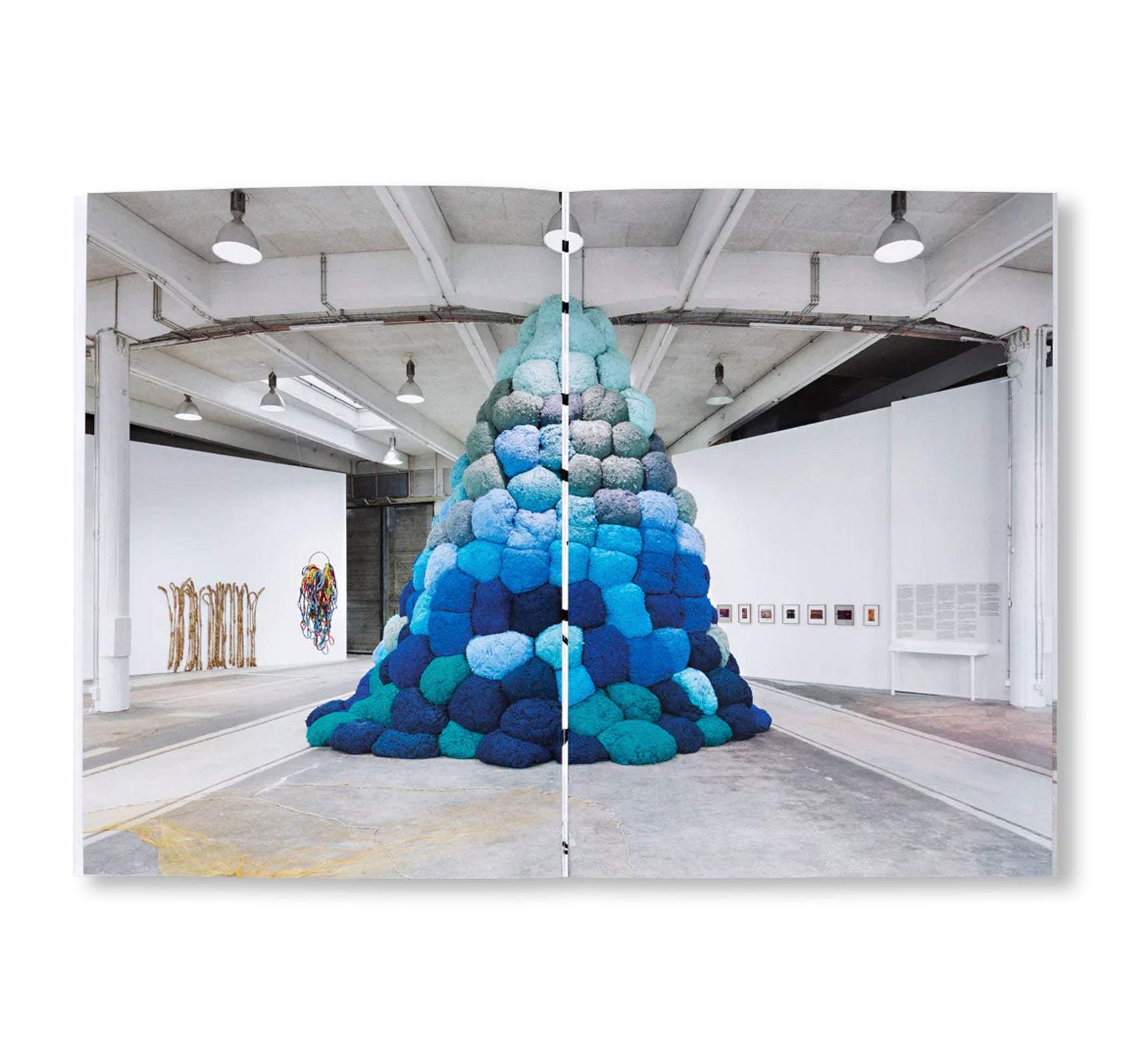 A LITTLE BIT OF A LOT OF THINGS by Sheila Hicks