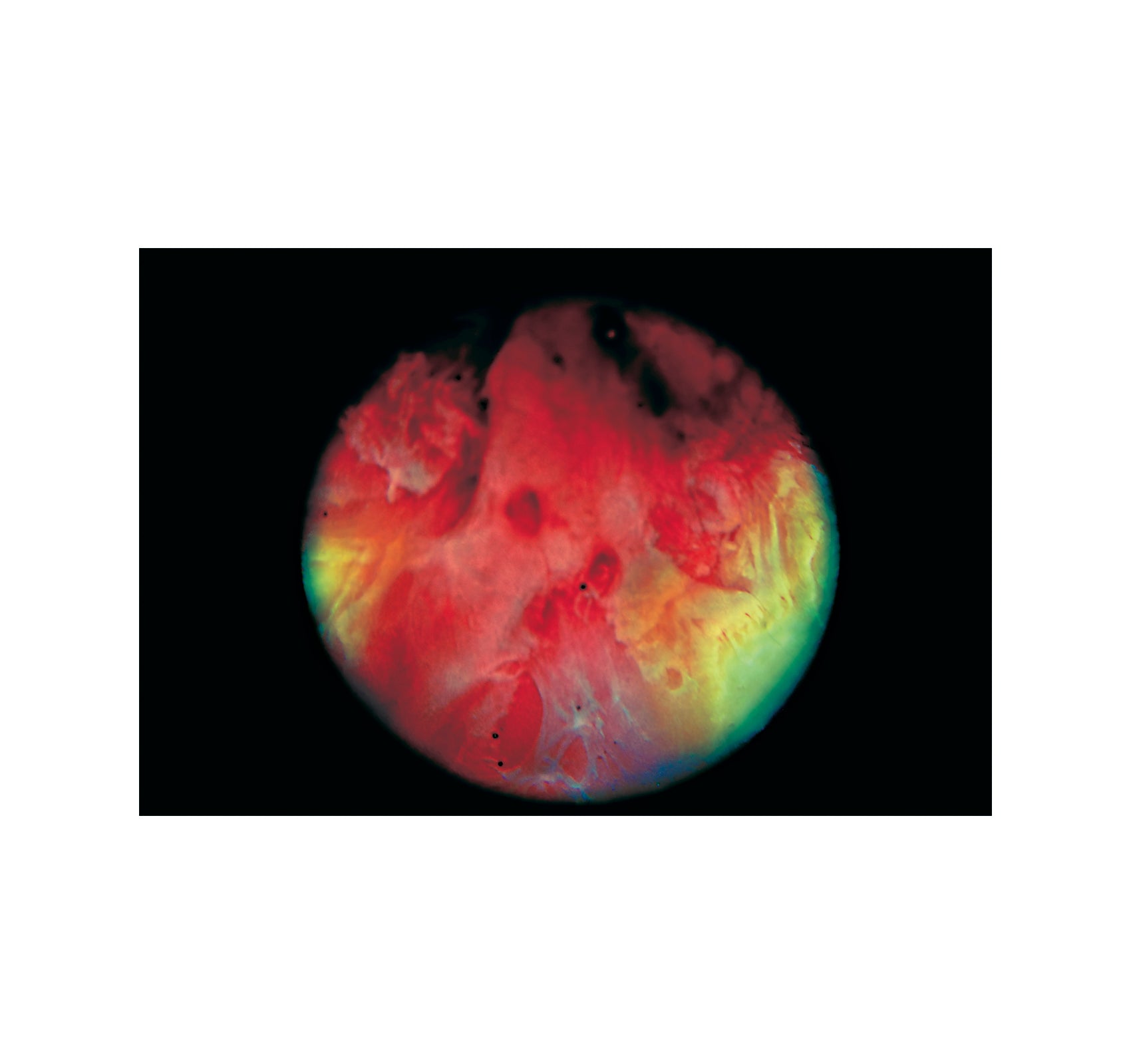 MY BLOODY HAND by Momo Okabe