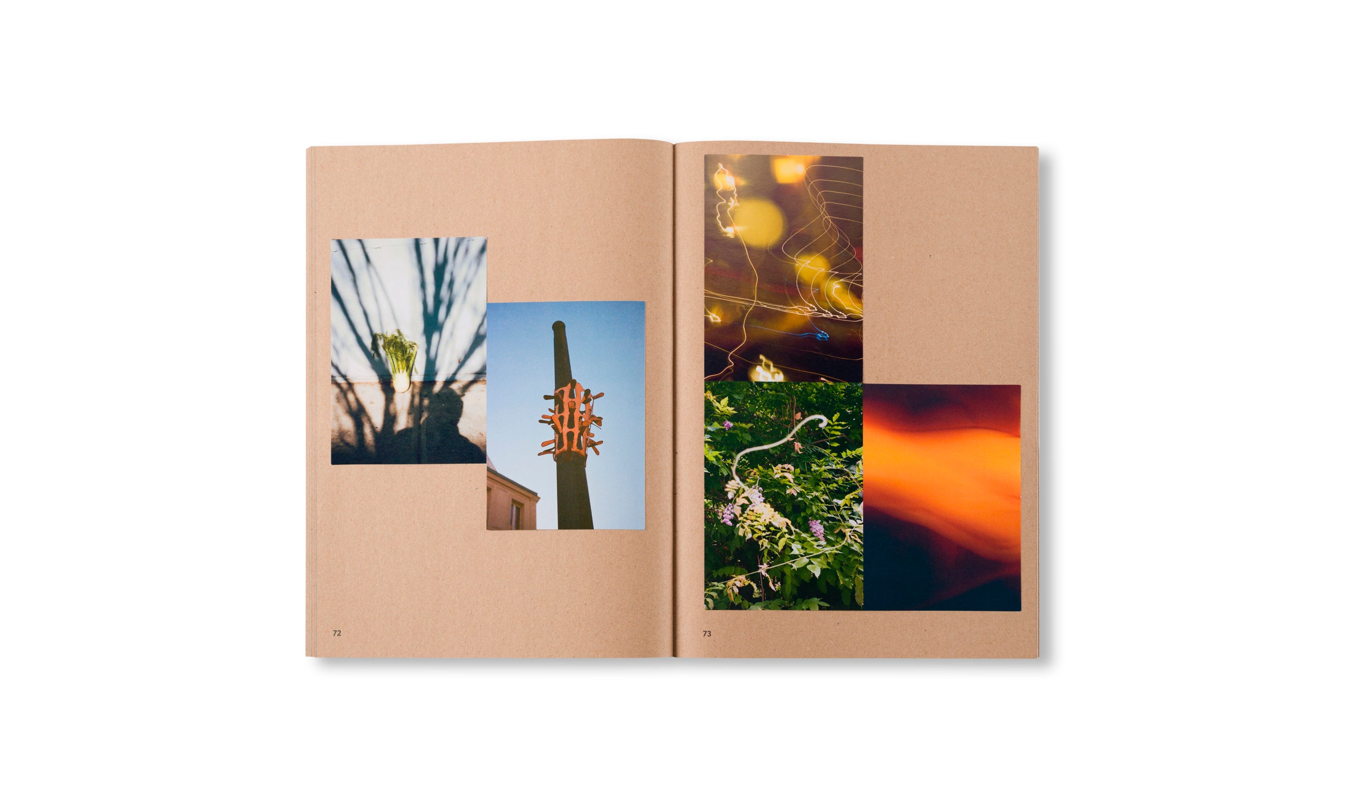 WIDENING THE LENS: PHOTOGRAPHY, ECOLOGY, AND THE CONTEMPORARY LANDSCAPE