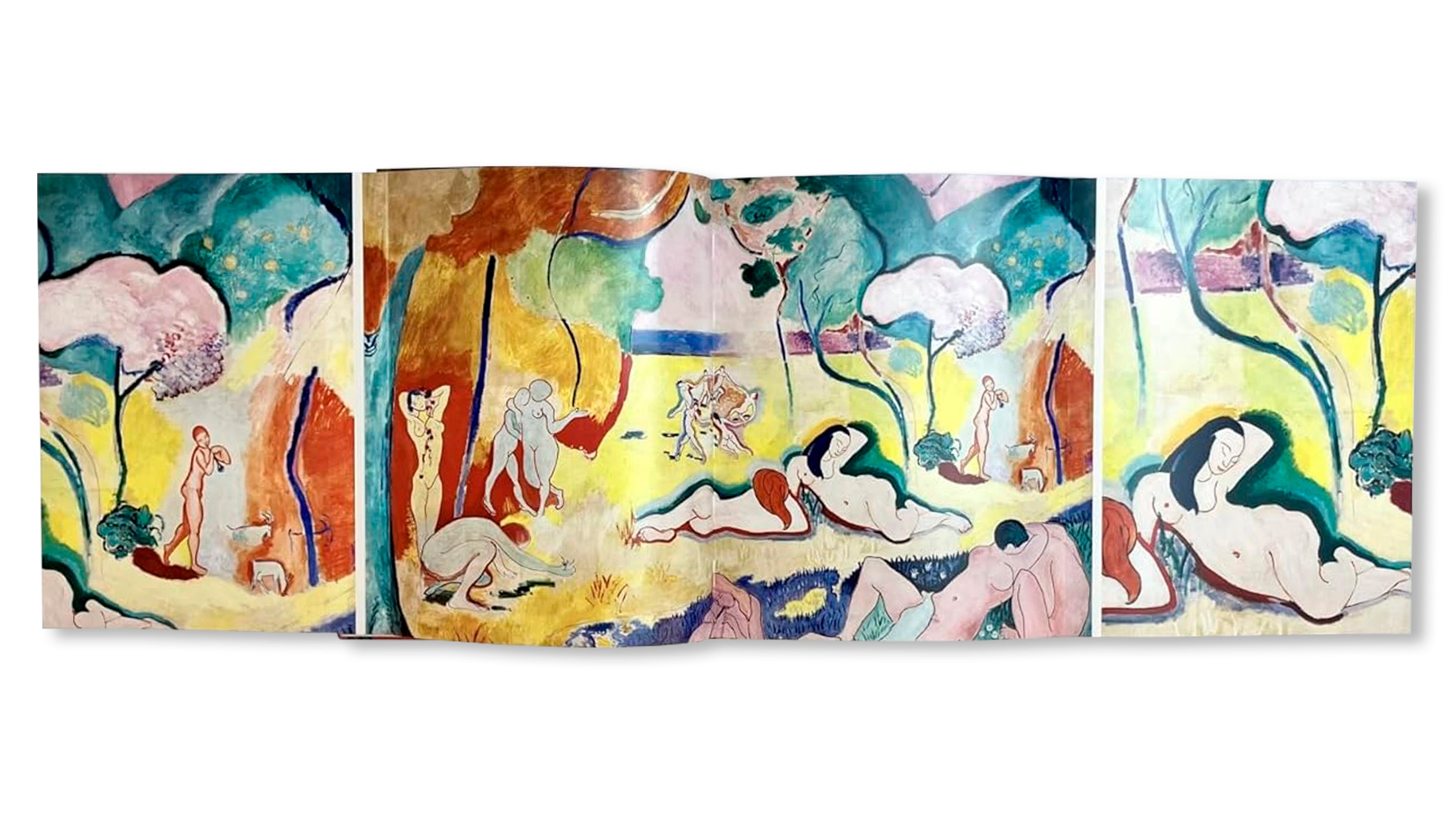 MATISSE - THE BIGGER PICTURE by Anne Sefrioui
