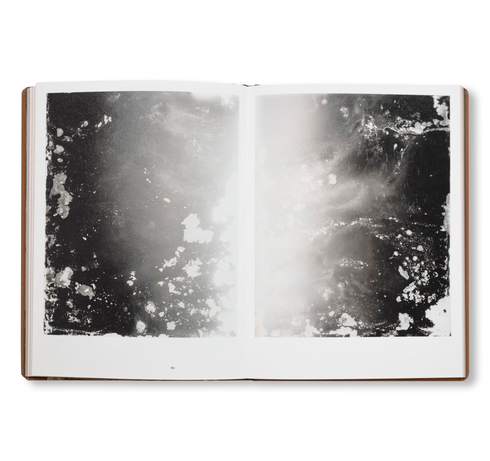 FUNGI by Nicolai Howalt