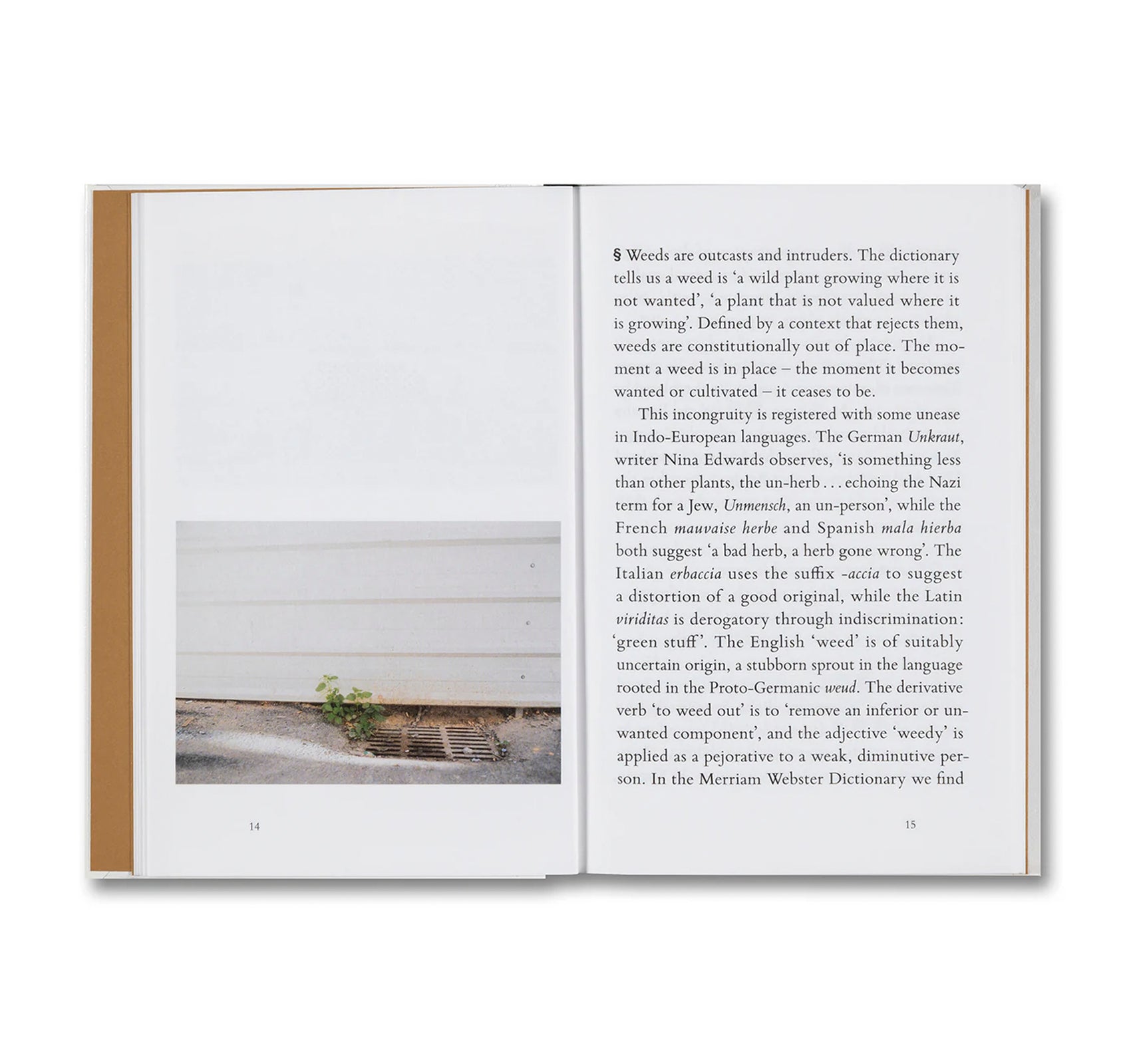 WEEDS: A GERMINATING THEORY by Kwan Queenie Li