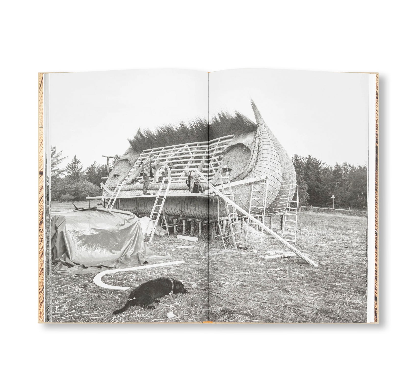 SIMON STARLING: A HOUSEBOAT FOR HO by Simon Starling