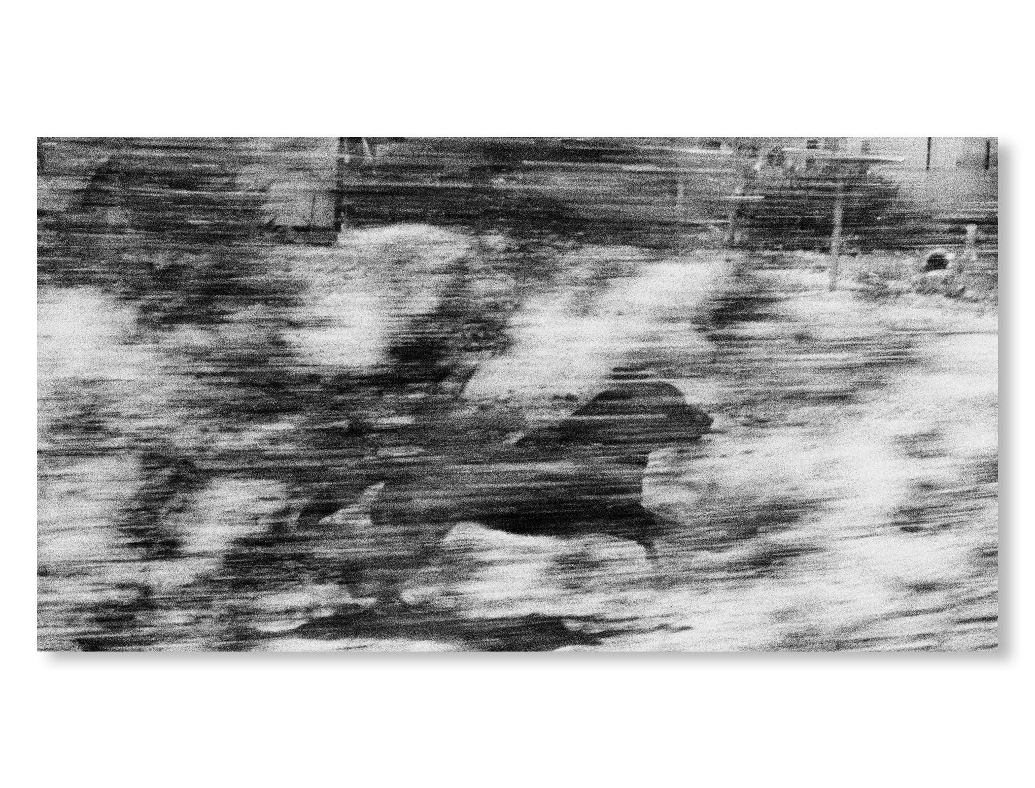 DOGS CHASING MY CAR IN THE DESERT by John Divola [REMASTERED EDITION]