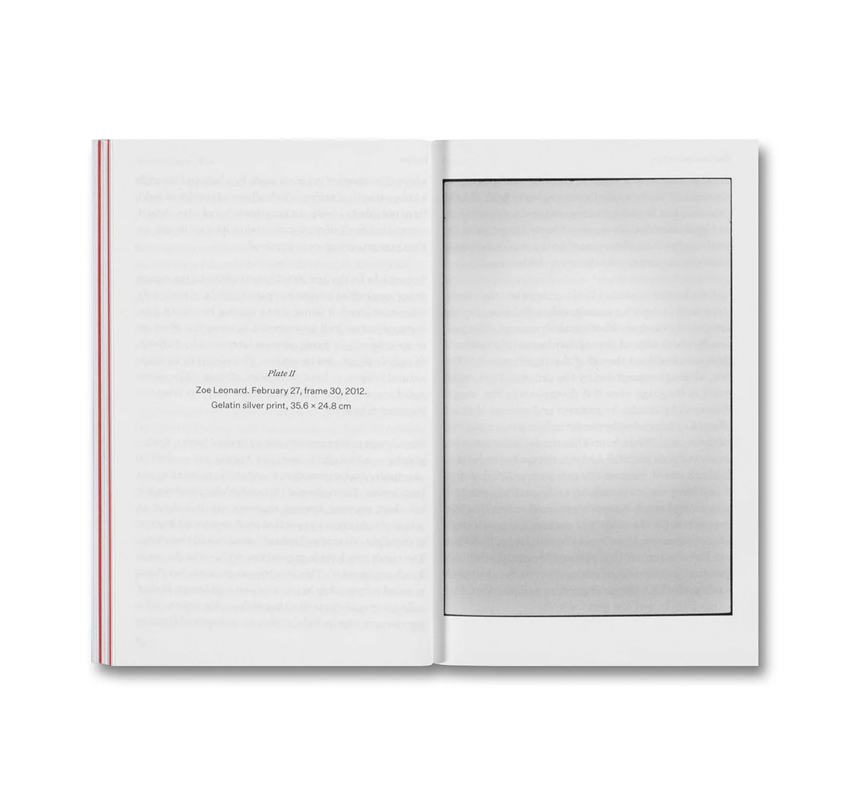 THE DEVOURING EYE: PHOTOGRAPHY AND THE MOUTH by Olivier Richon