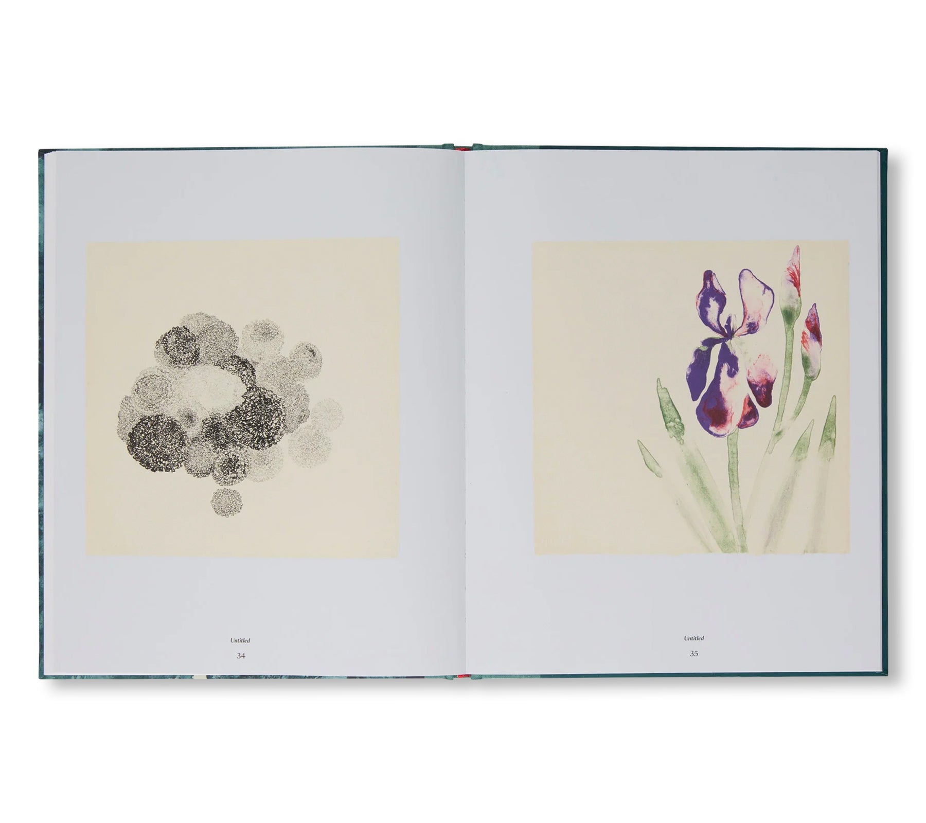 THE TAMARIND PRINTS by Ruth Asawa