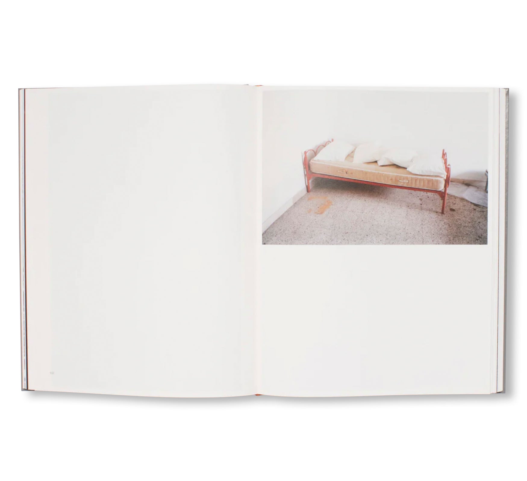 GEOGRAPHY by Zora Sicher