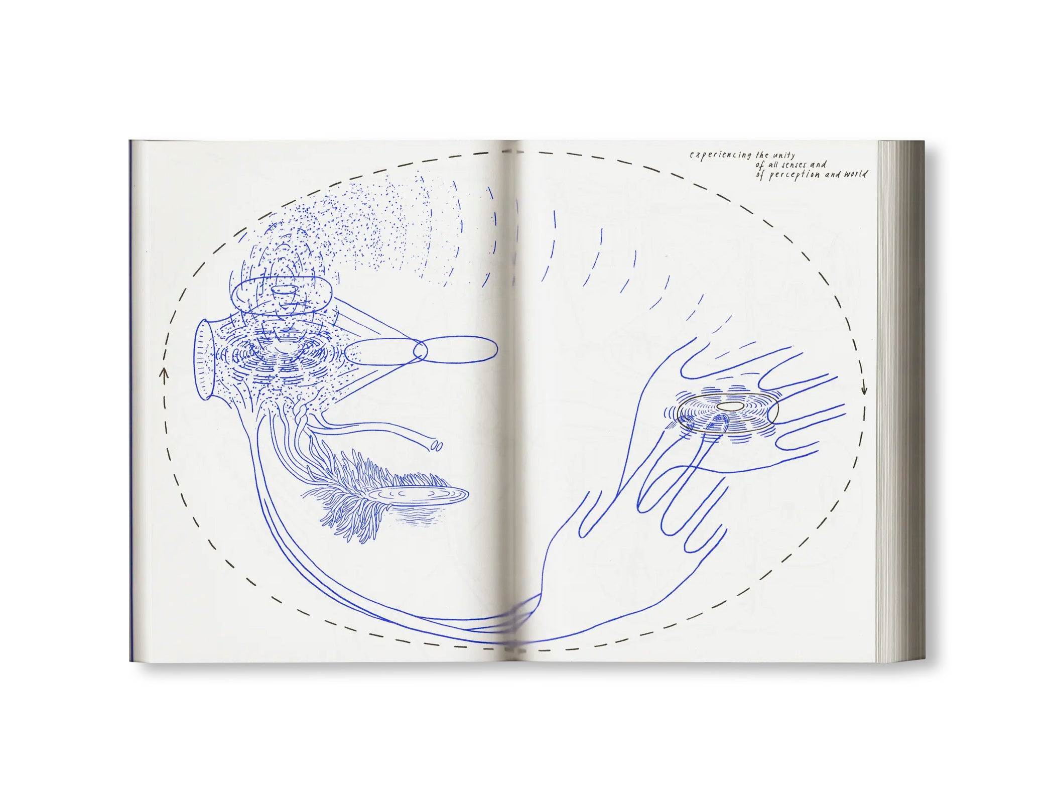 LOOK! - A VISUAL PHILOSOPHY OF SEEING by Mone Schliephack
