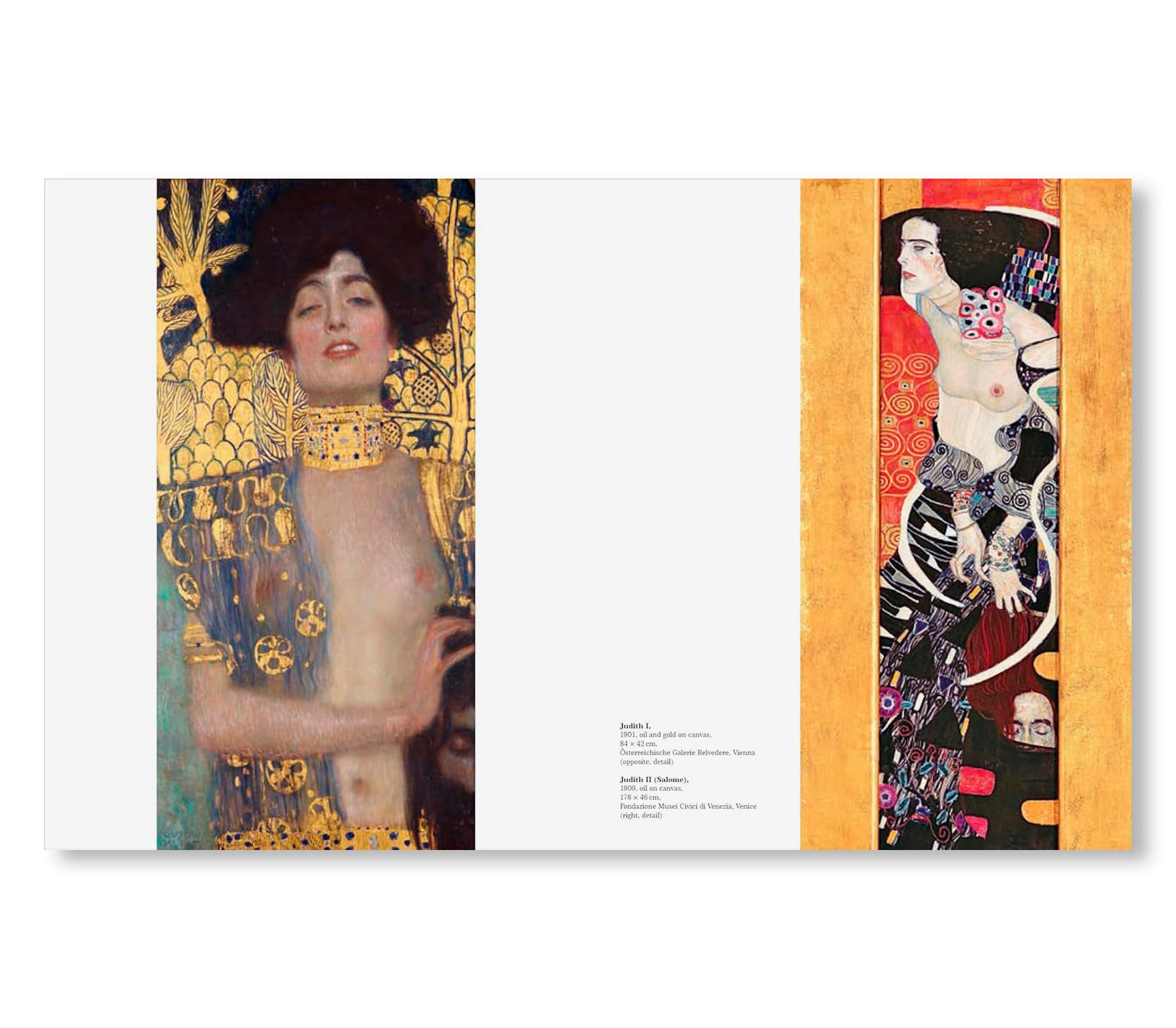 KLIMT - THE BIGGER PICTURE by Philippe Thiébaut