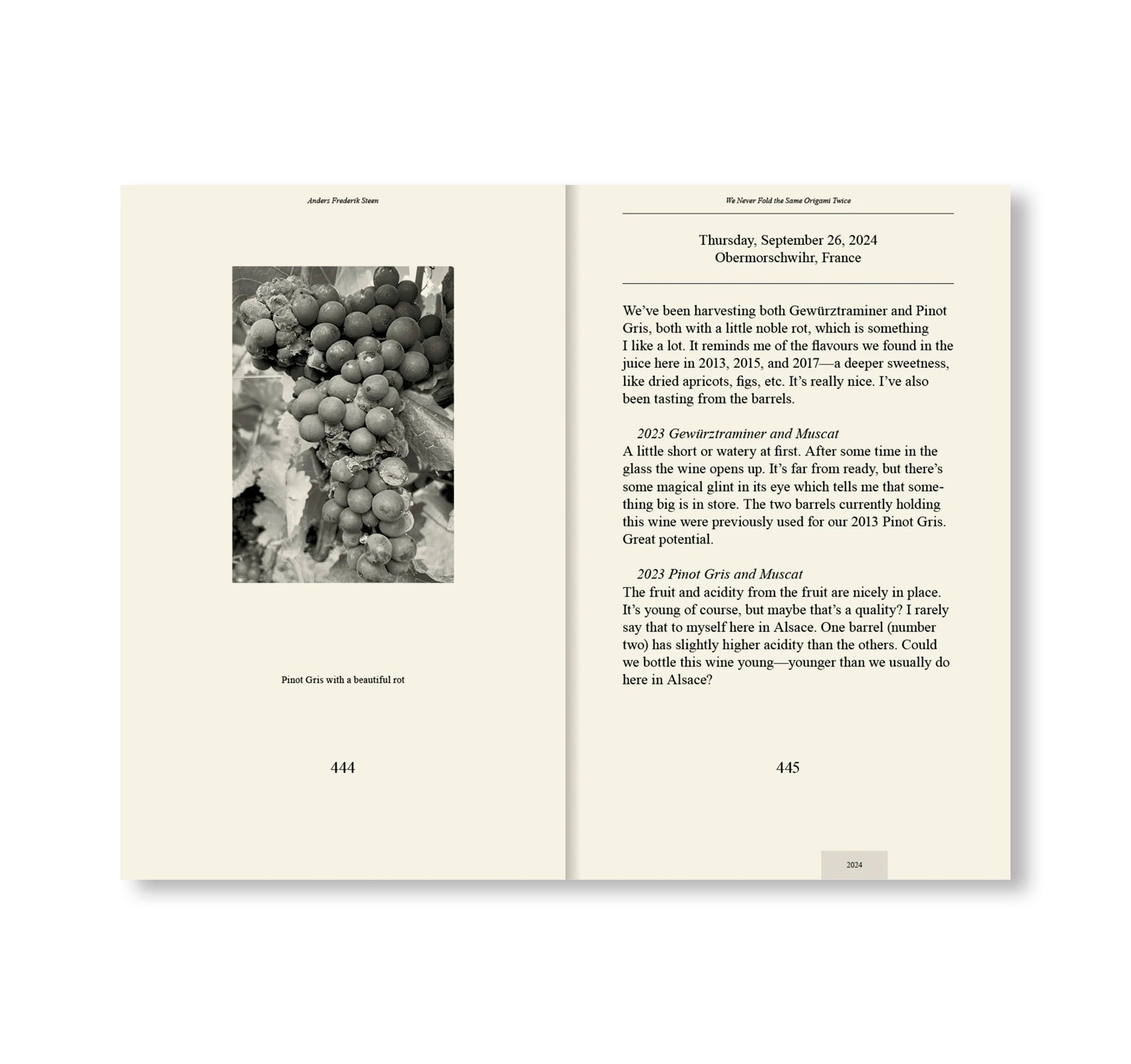 WE NEVER FOLD THE SAME ORIGAMI TWICE by Anders Frederik Steen (VOL.2)