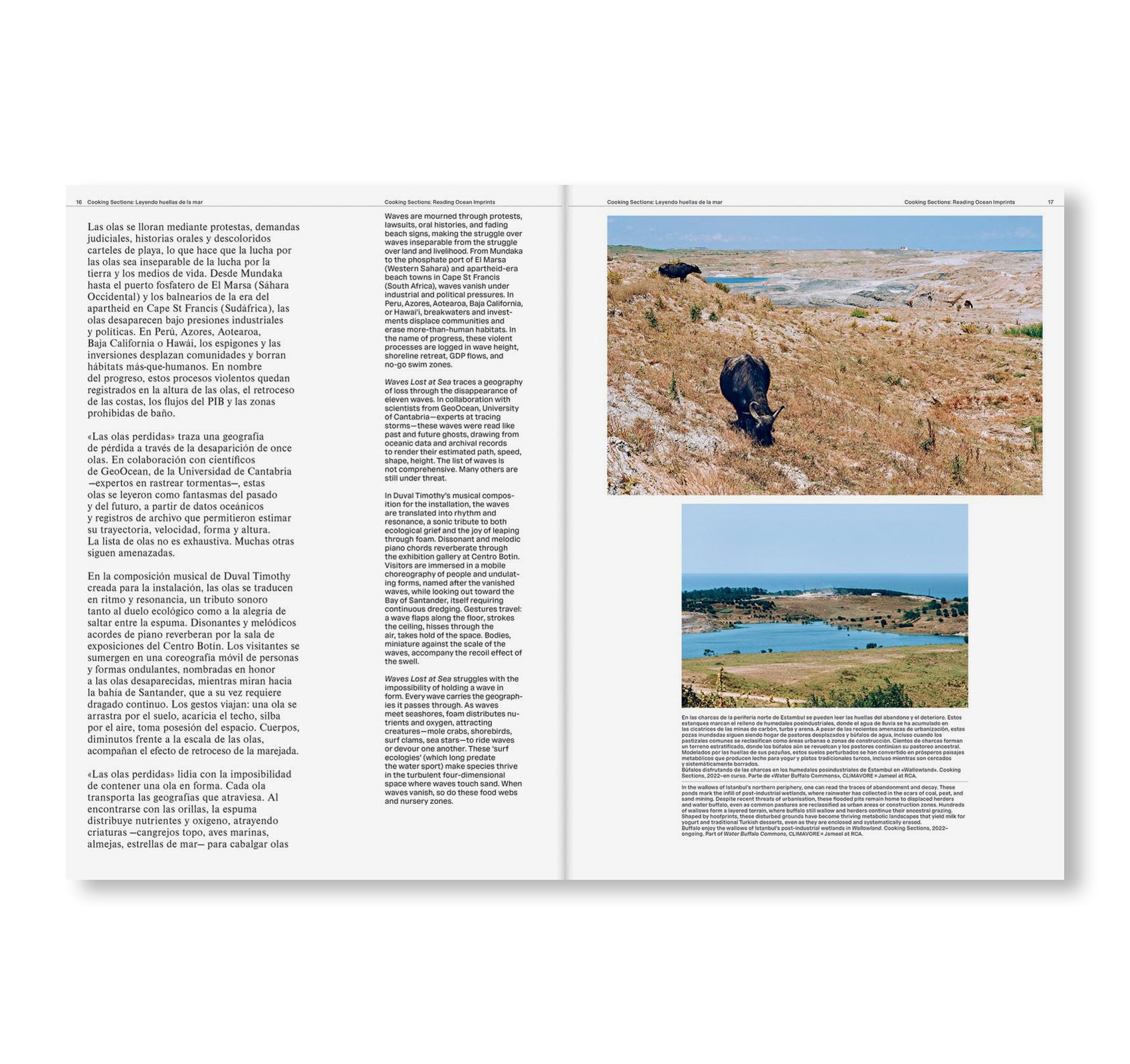 COOKING SECTIONS: WAVES LOST TO SEA by Cooking Sections