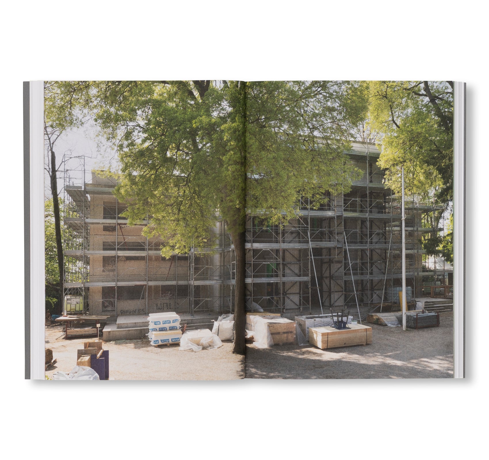 THE RUIN. THE GERMAN CONTRIBUTION TO THE 61ST VENICE BIENNALE by Henrike Naumann, Sung Tieu
