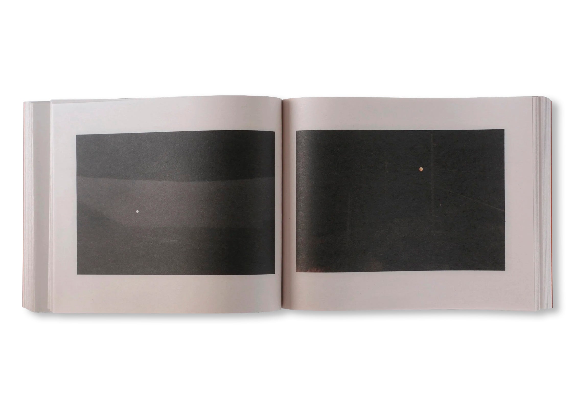 WALDEN; OR, LIFE IN THE WOODS, ARCHIVE 1993-2024, VOL. 2 by Peter Funch