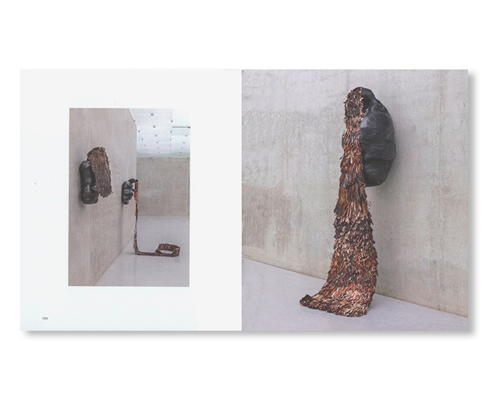 SOLANGE PESSOA (2023) by Solange Pessoa