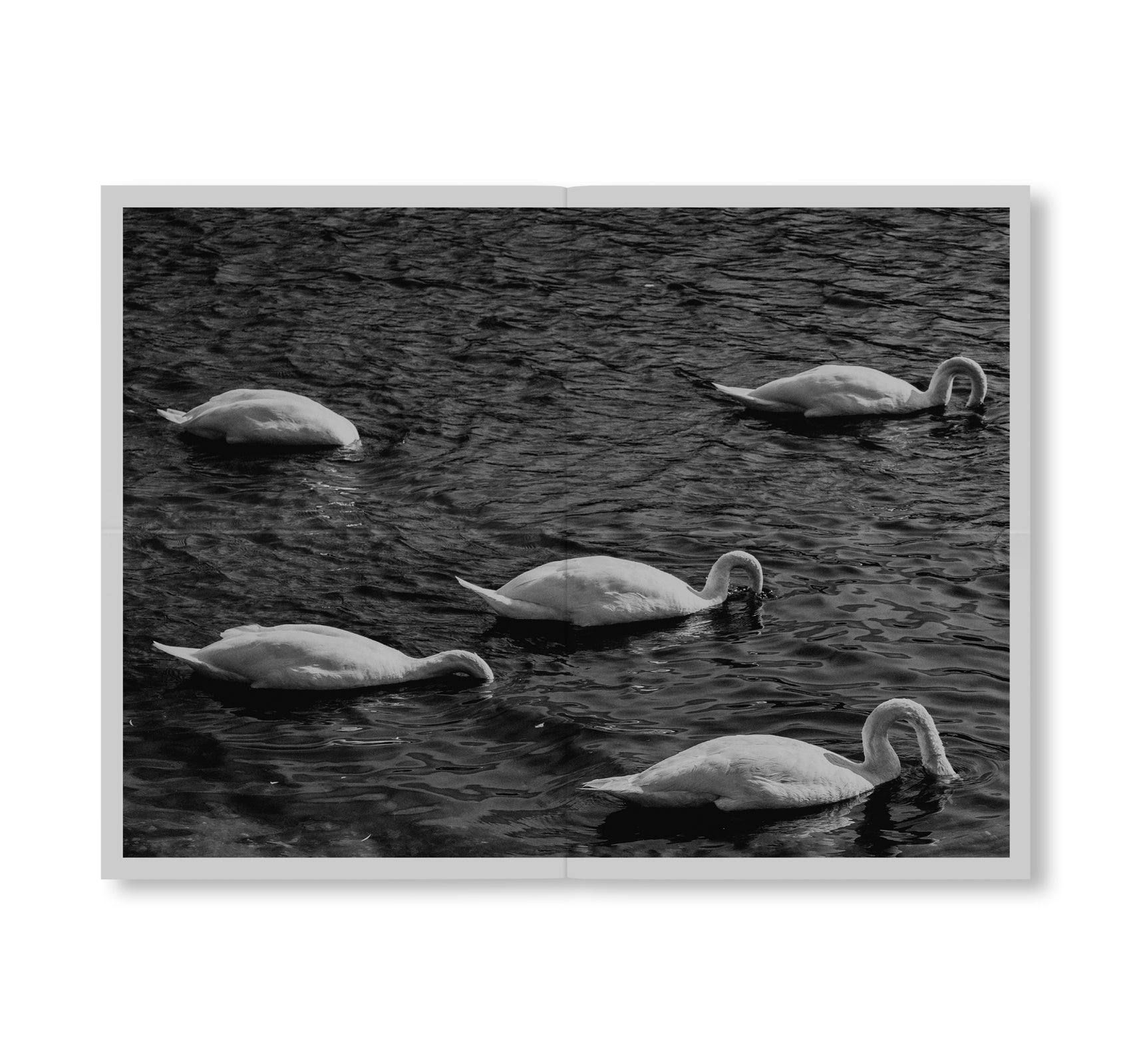 DEPONIE by Tobias Kruse [SIGNED / NUMBERED]