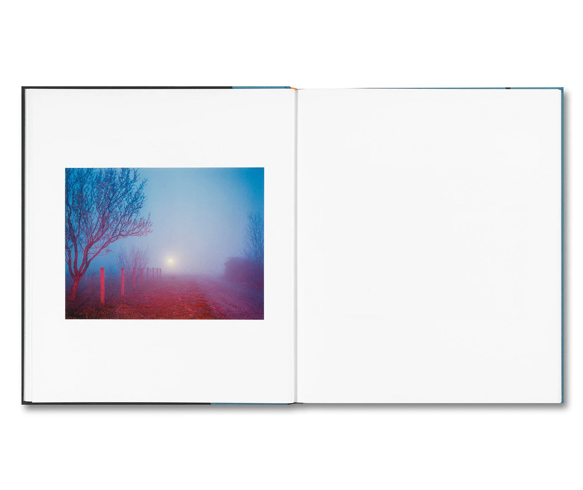 MOUNTAIN BLACK HEART by Irina Rozovsky [SIGNED]