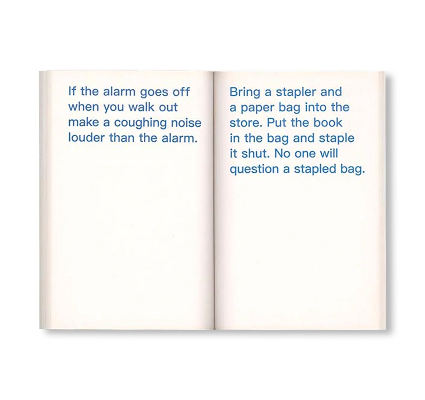 HOW TO SHOPLIFT BOOKS by David Horvitz [THIRD EDITION]