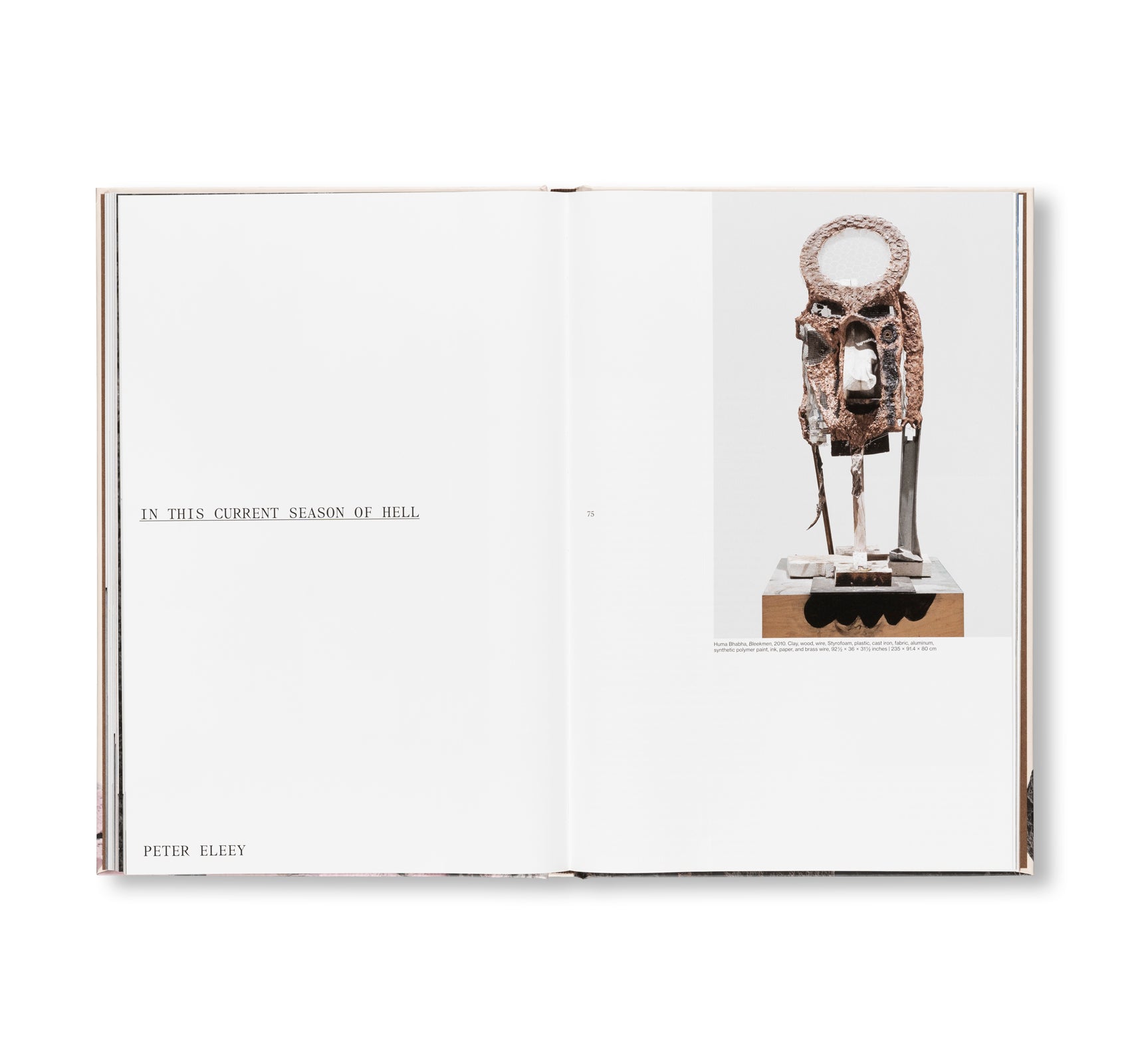 WELCOME . . . TO THE ONE WHO CAME by Huma Bhabha