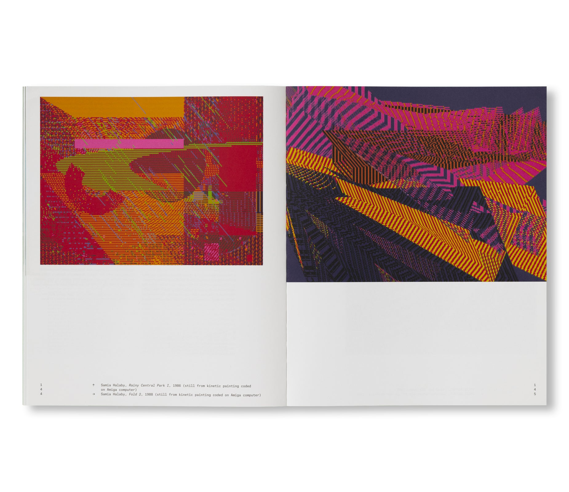 RADICAL SOFTWARE: WOMEN, ART & COMPUTING 1960-1991 [ENGLISH EDITION]