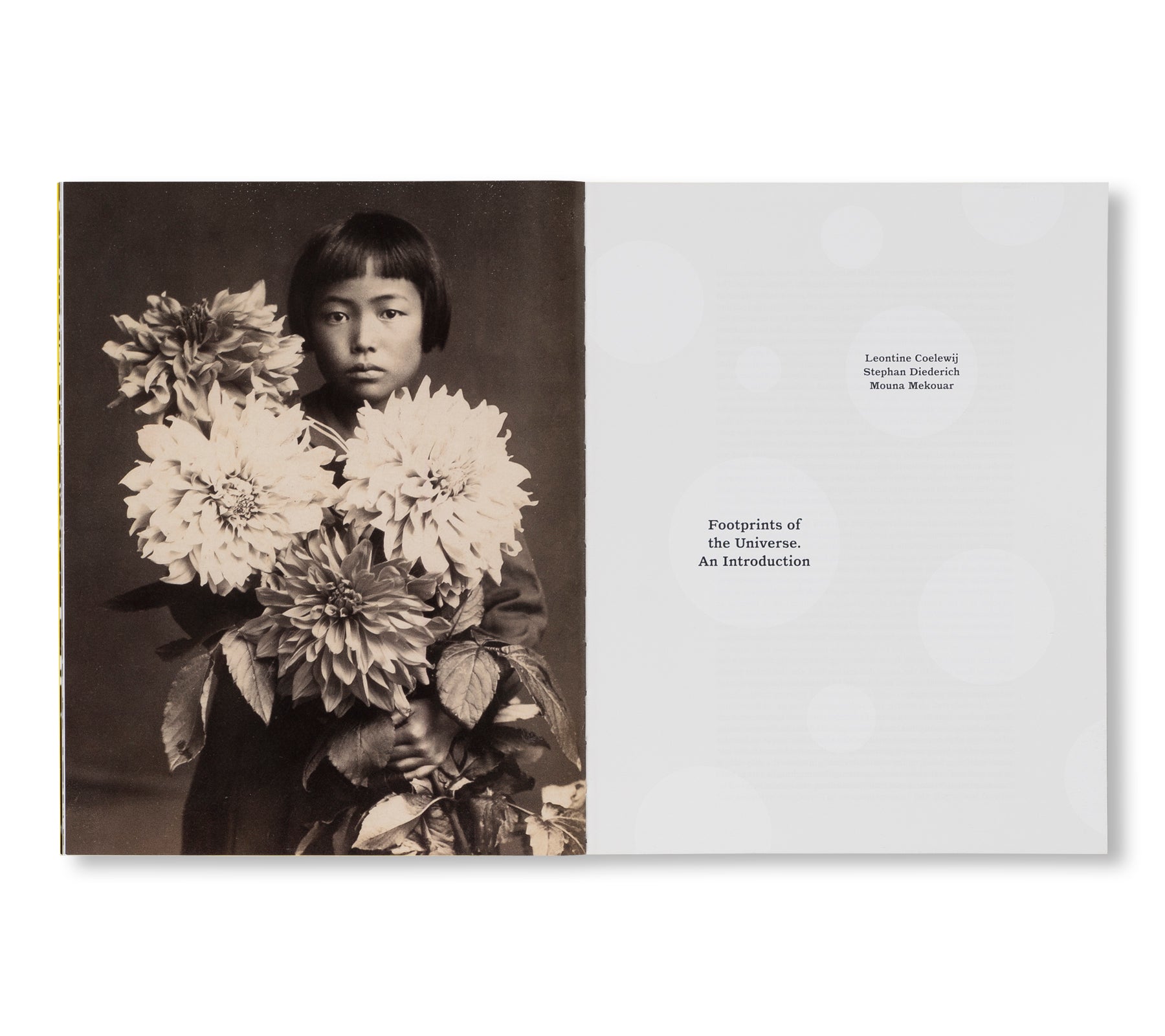 YAYOI KUSAMA by Yayoi Kusama [ENGLISH EDITION] (HATJE CANTZ)