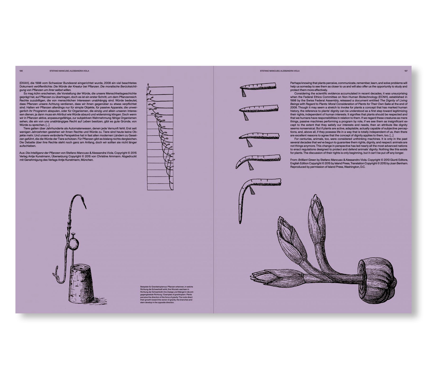 THE SENSES OF PLANTS