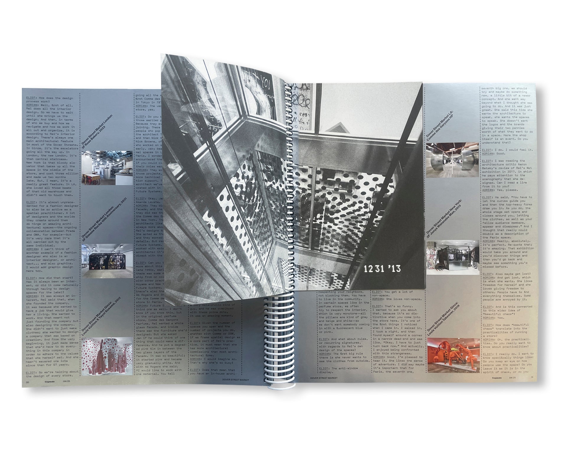 CAPSULE ISSUE 4 – THE ARCHITECTURE OF DSM