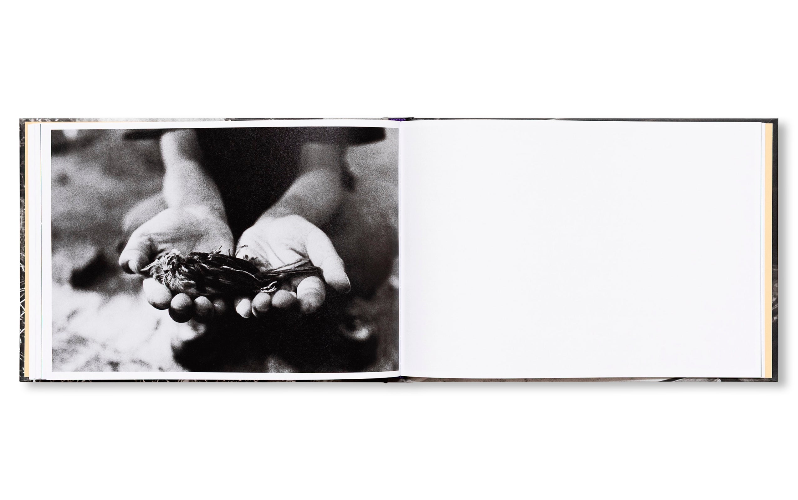 IN THE FLAP OF A BIRD'S WING, WATER DRIES UP by Eriko Masaoka