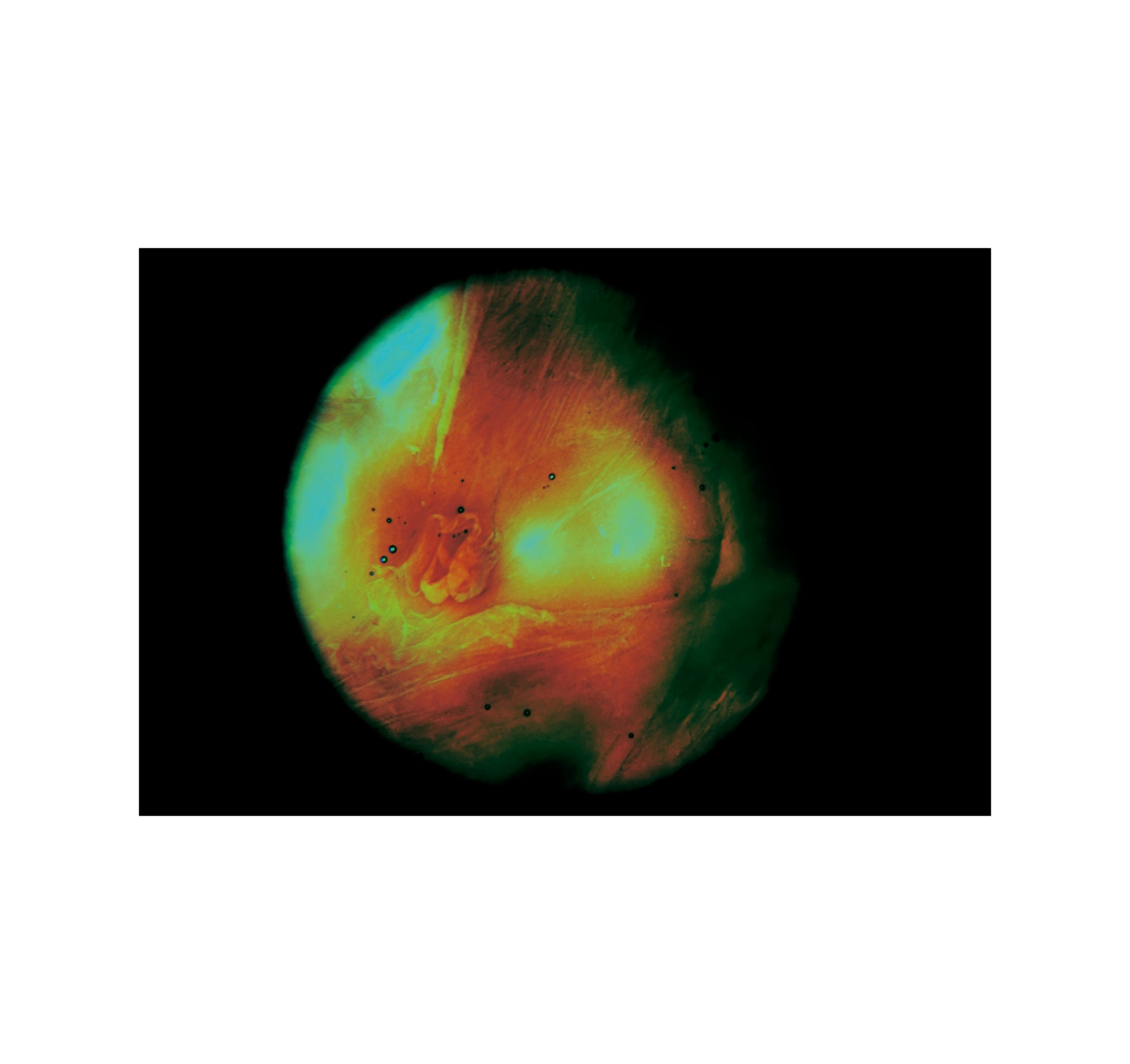 MY BLOODY HAND by Momo Okabe [SIGNED]