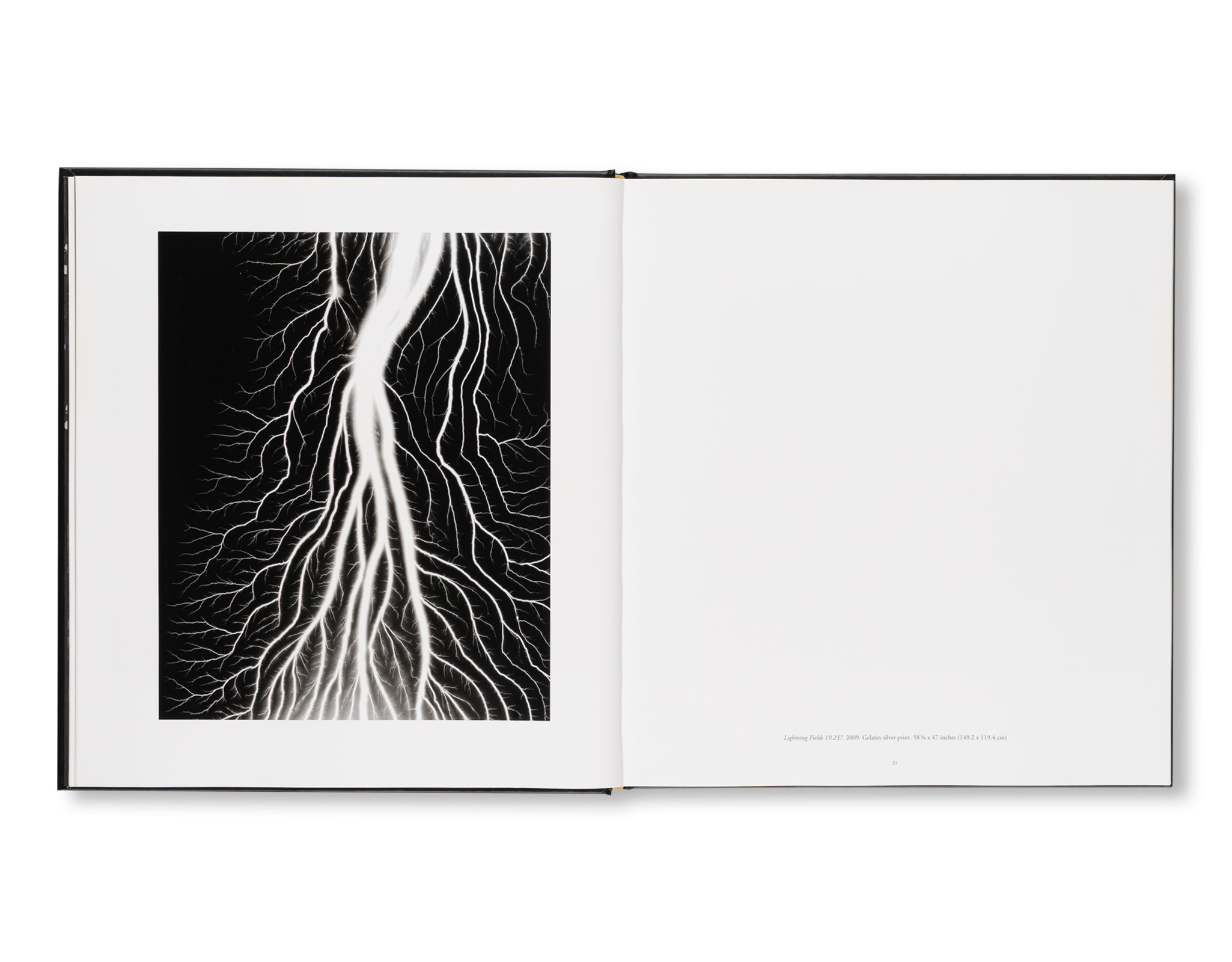 HIROSHI SUGIMOTO: GATES OF PARADISE by Hiroshi Sugimoto